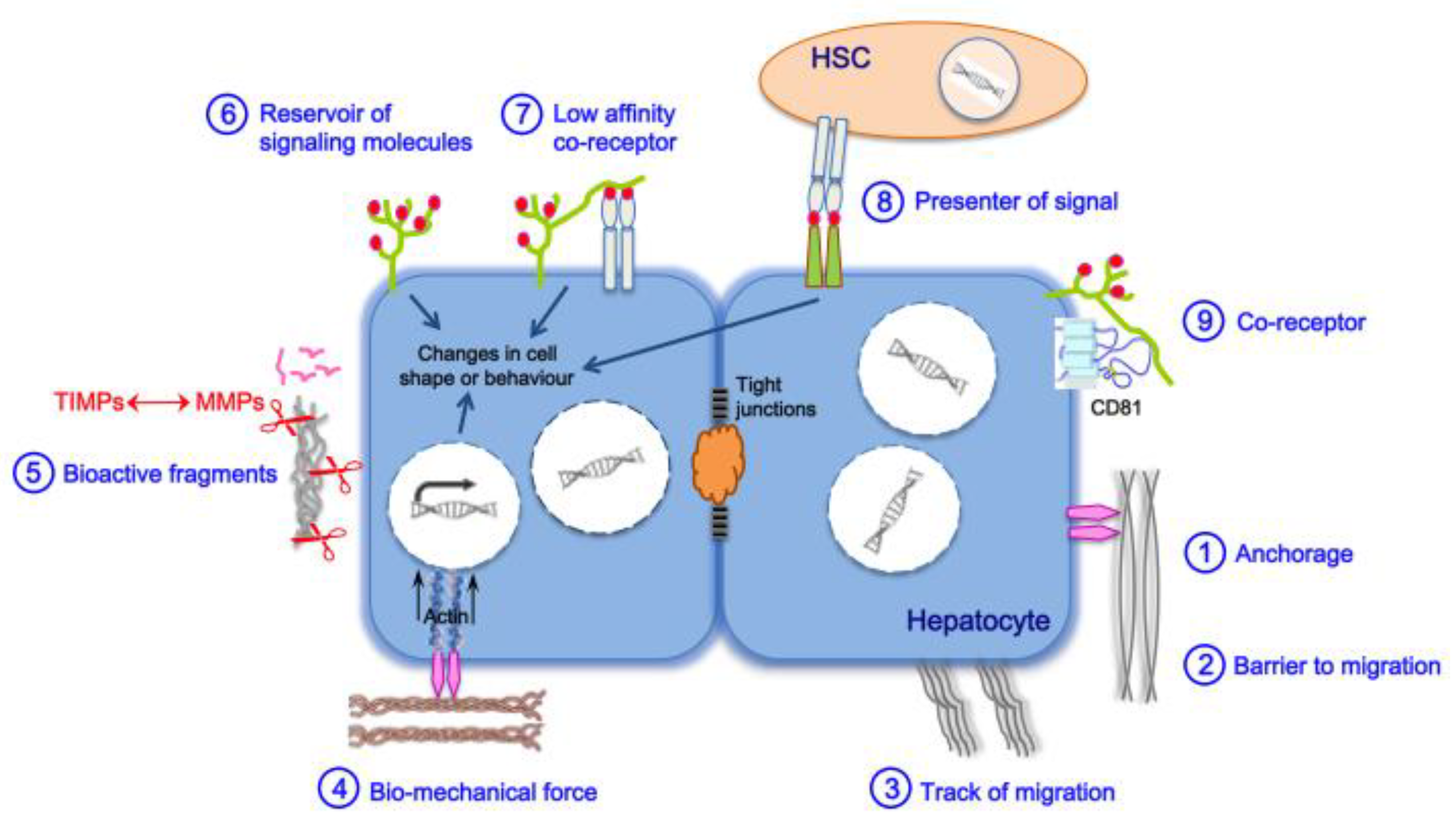 Cancers 13 02270 g001