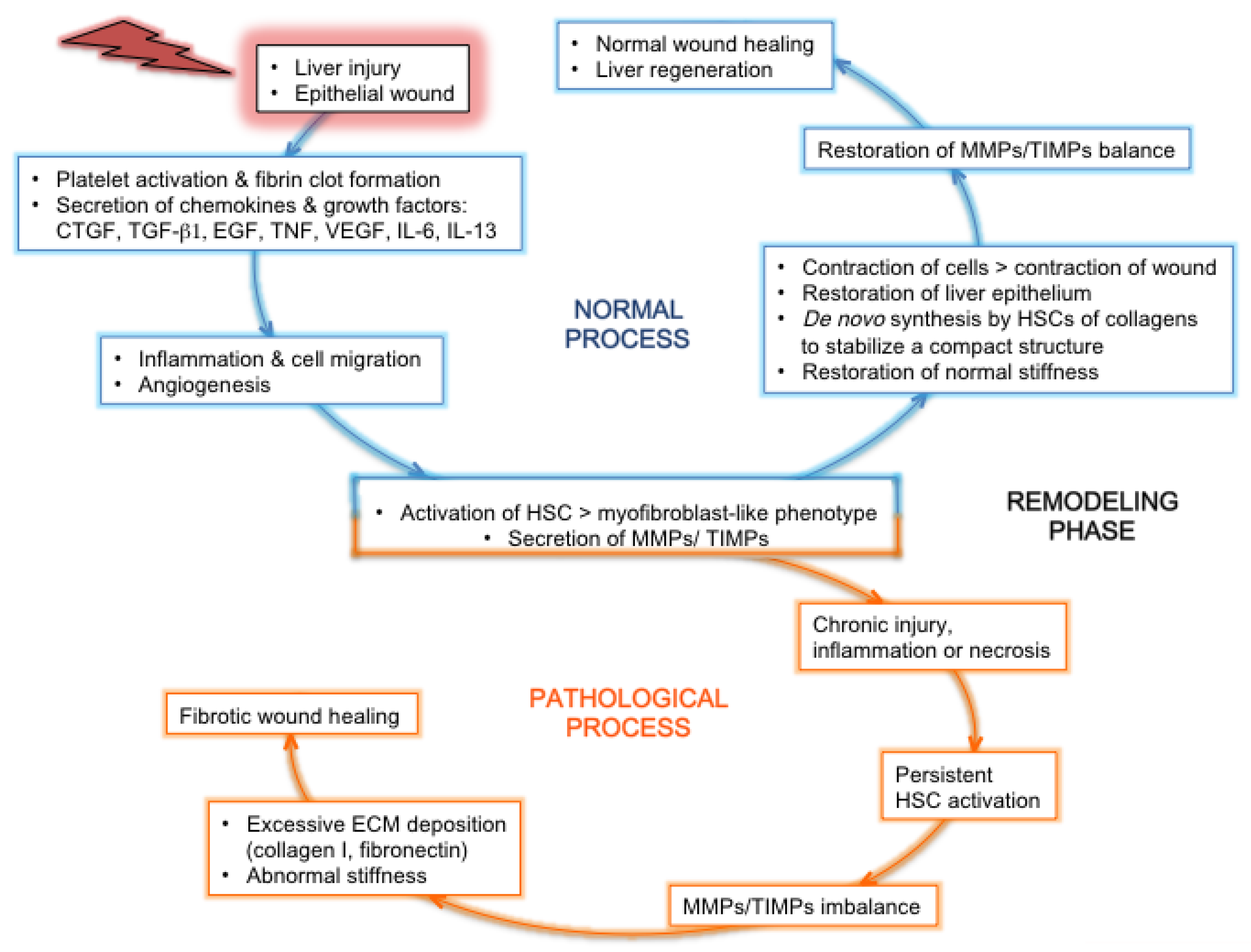 Cancers 13 02270 g002