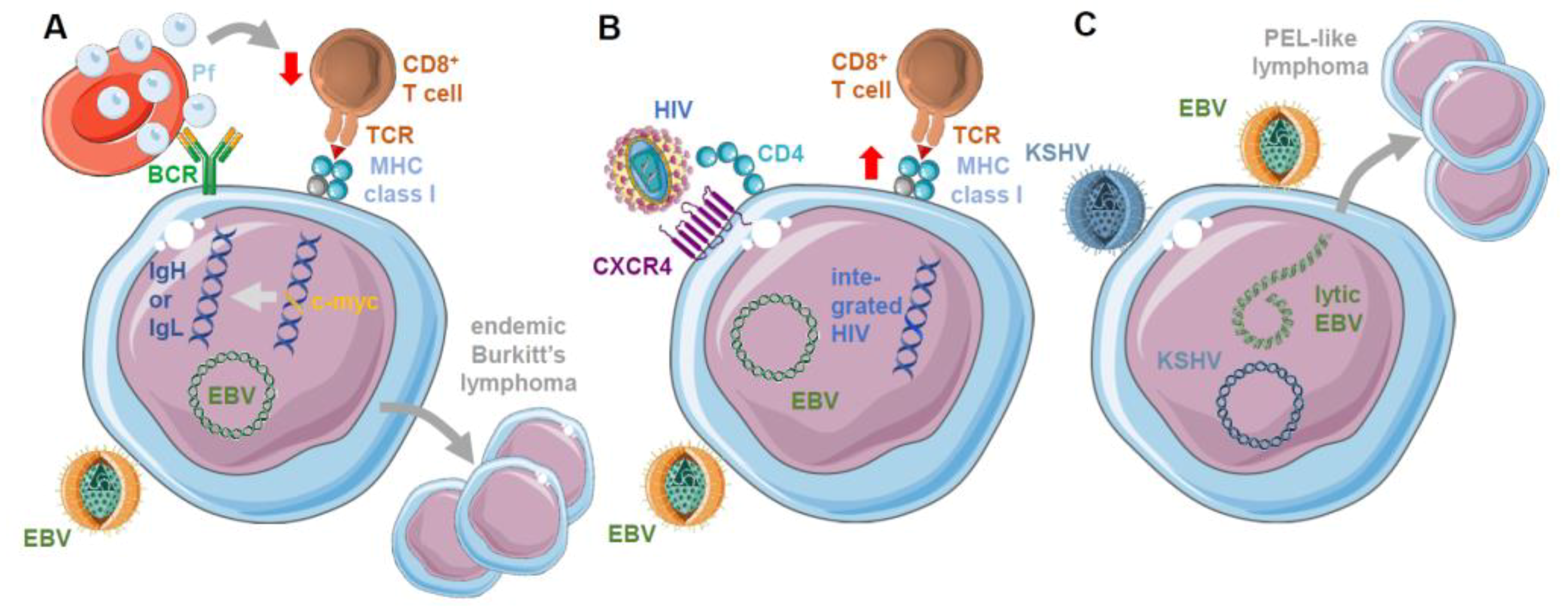 Cancers 13 02275 g002 Cancers 13 02275 g002