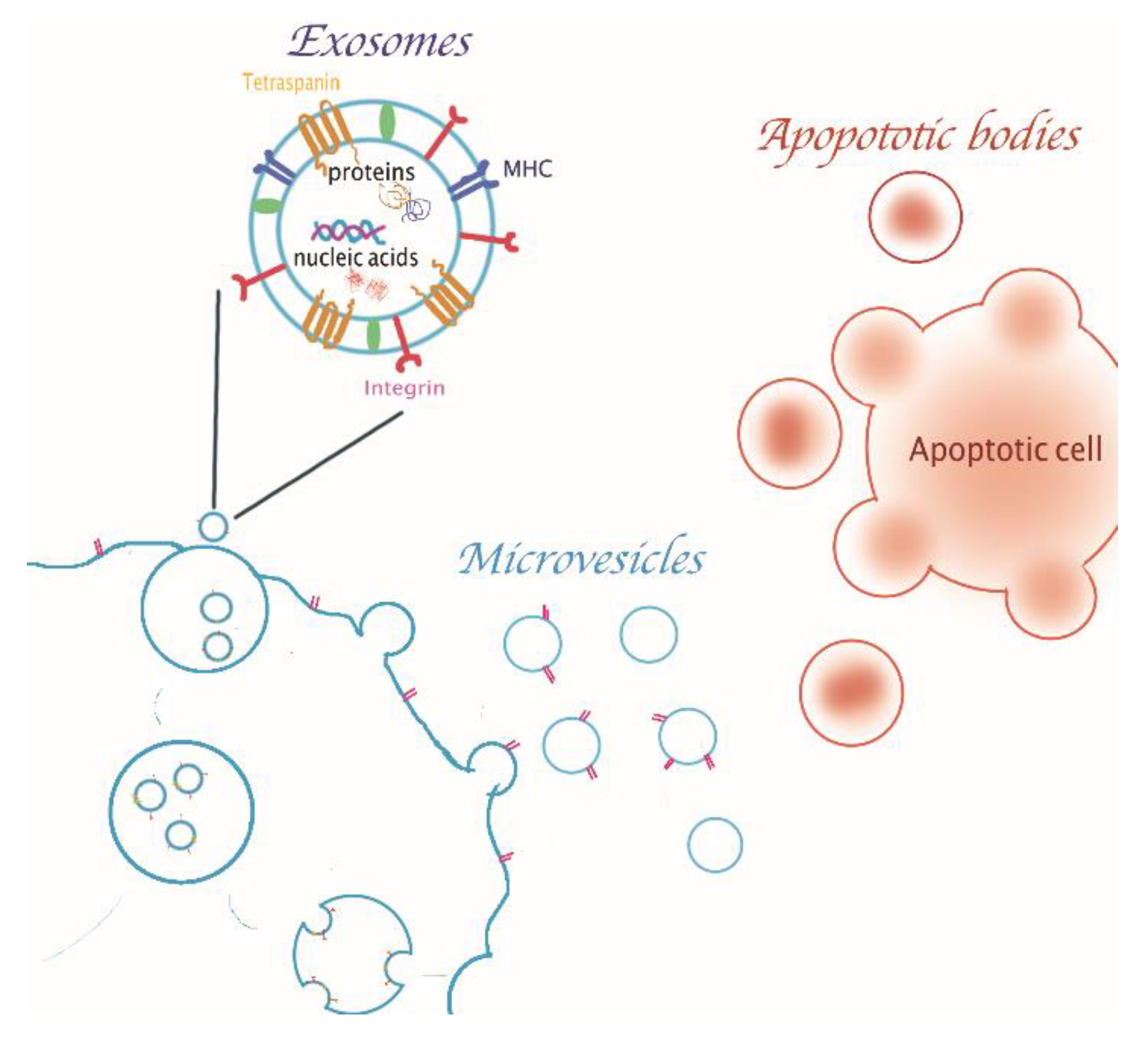 Cancers 13 02280 g001