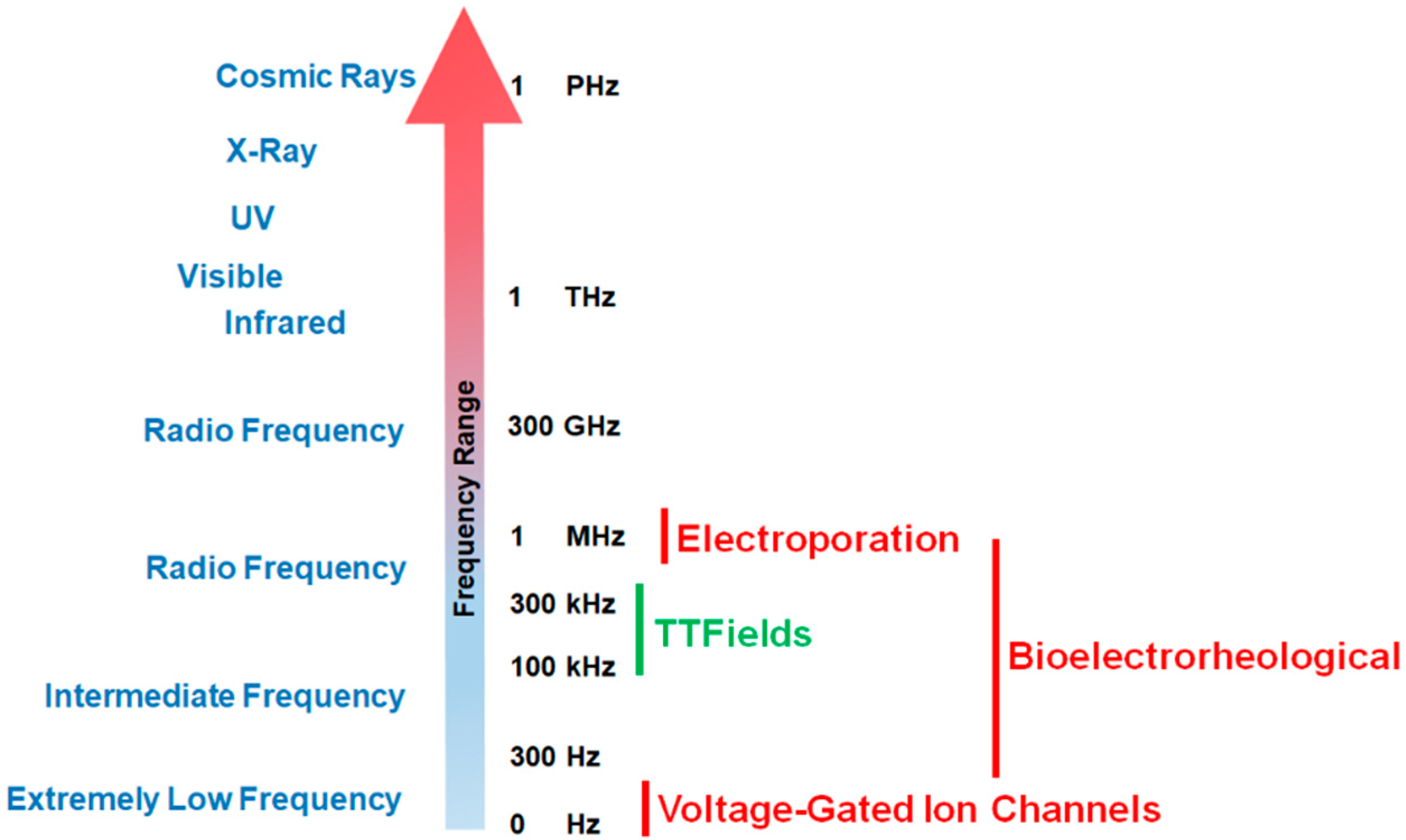 Cancers 13 02283 g001