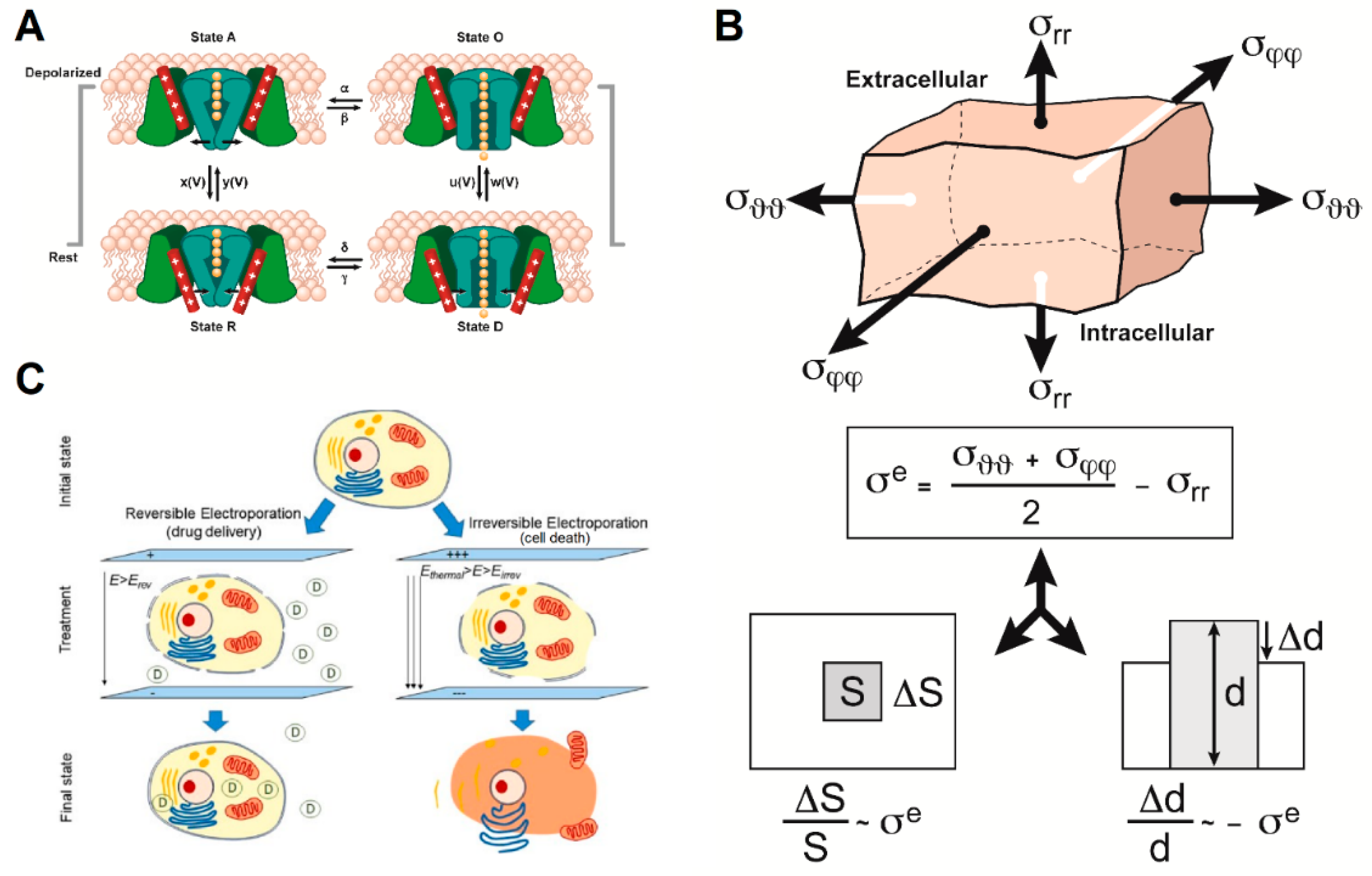 Cancers 13 02283 g003