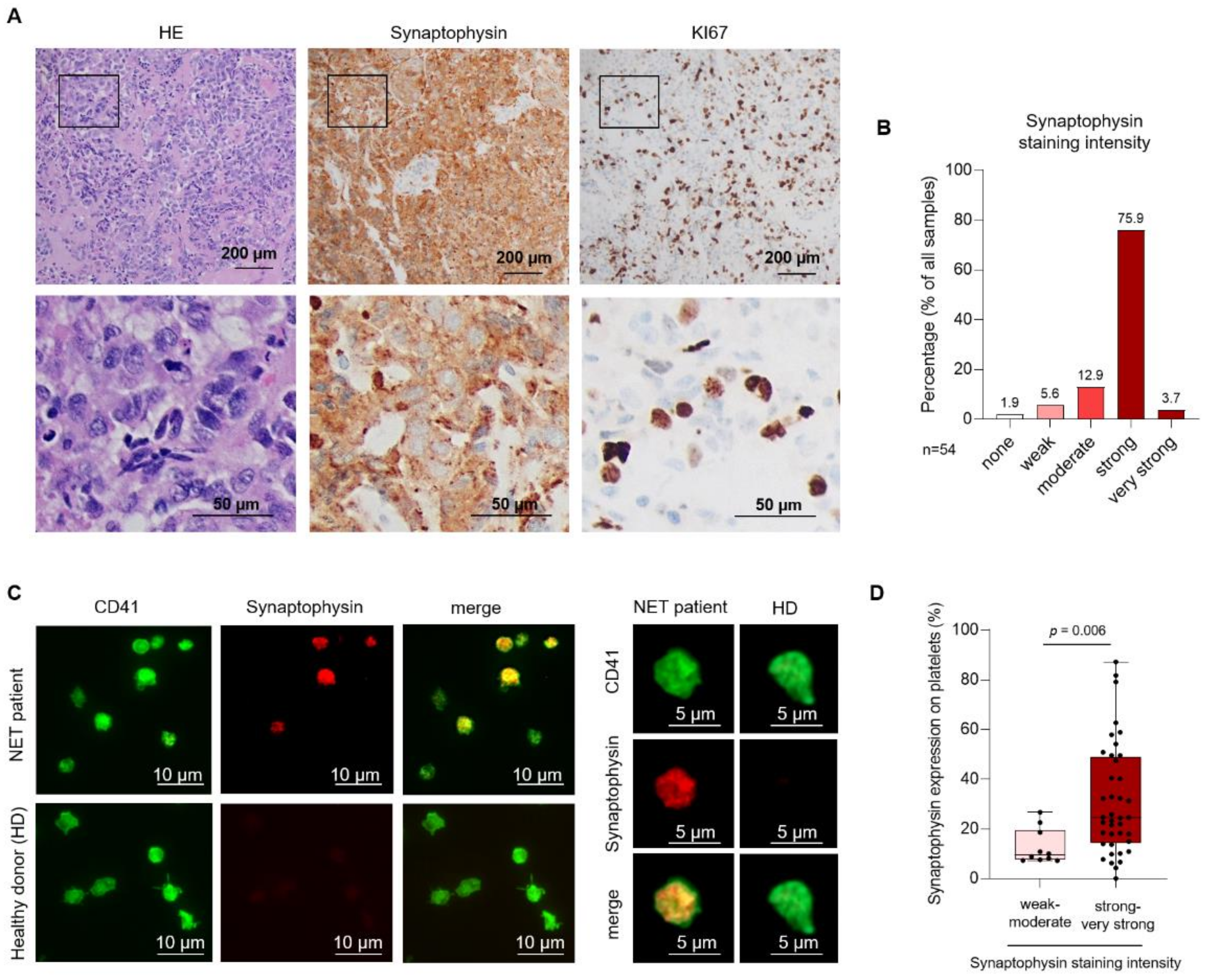 Cancers 13 02286 g001