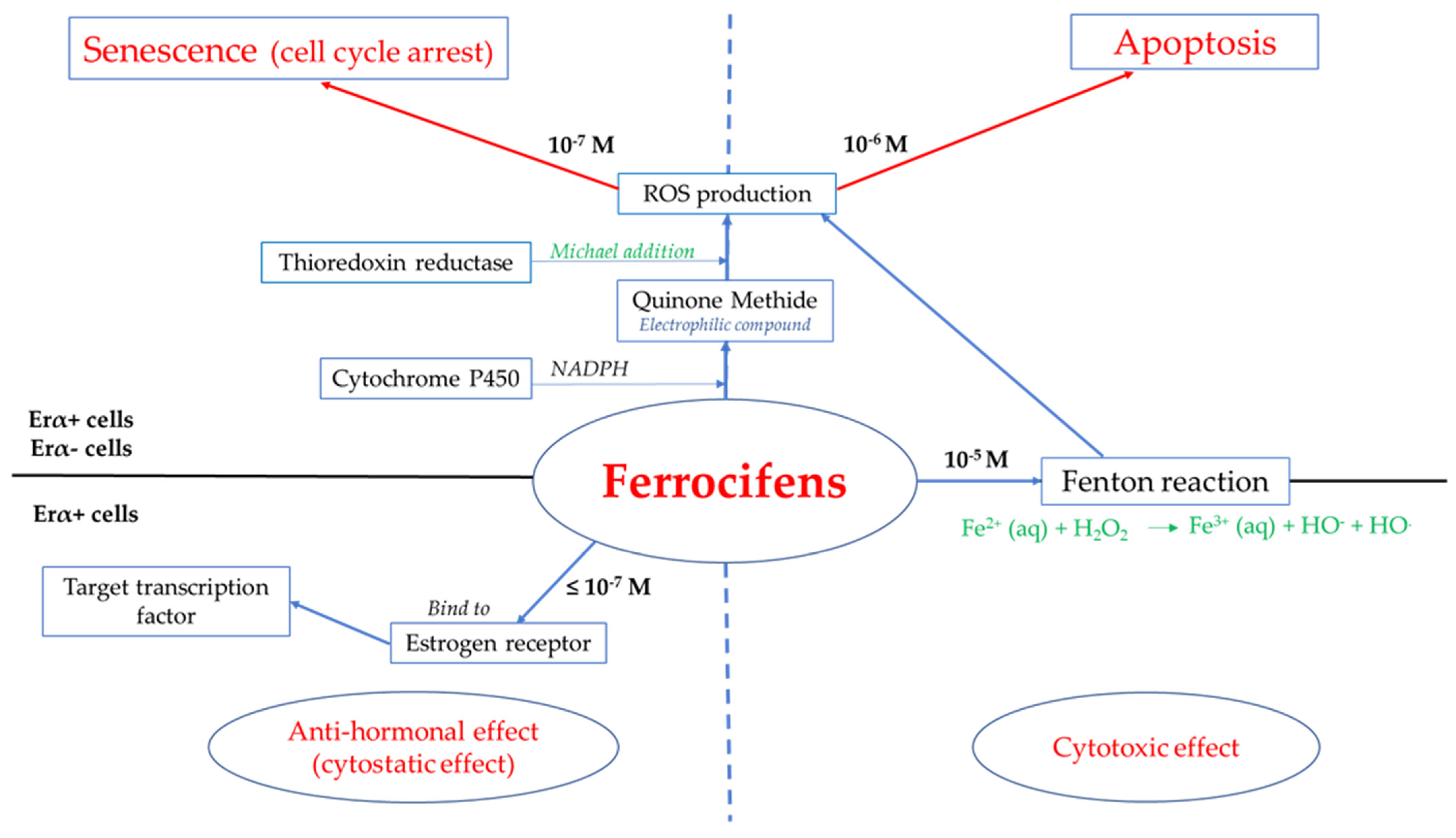 Cancers 13 02291 g002