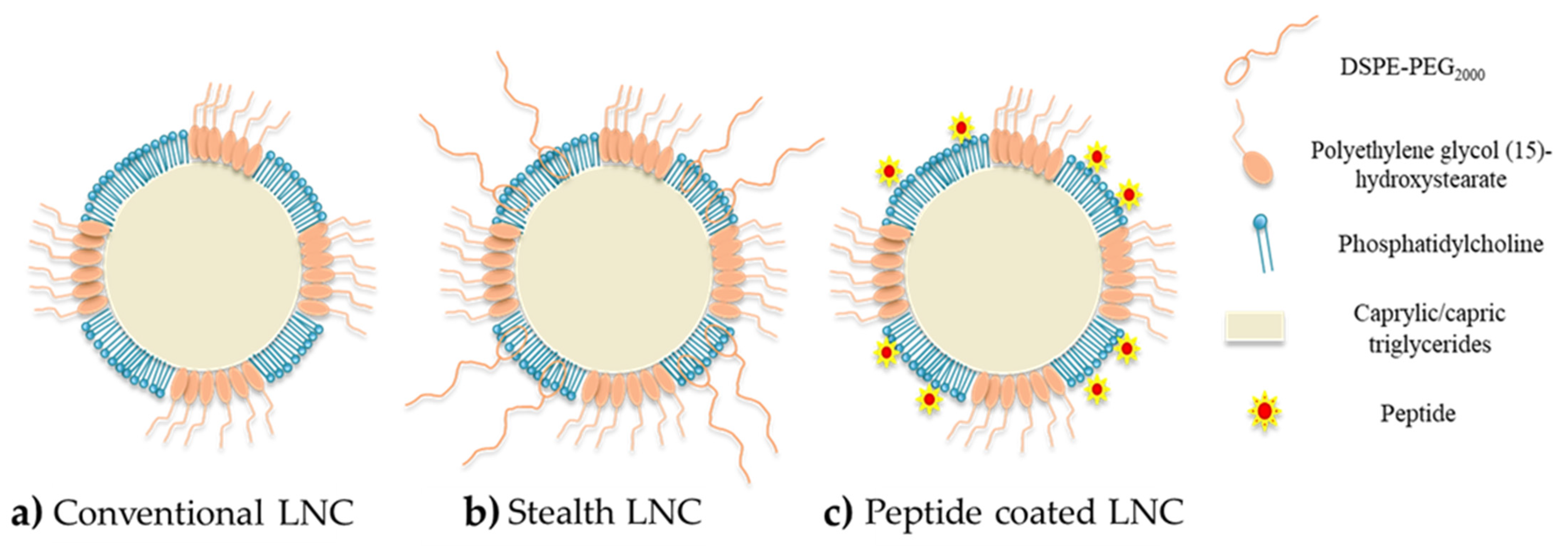 Cancers 13 02291 g005