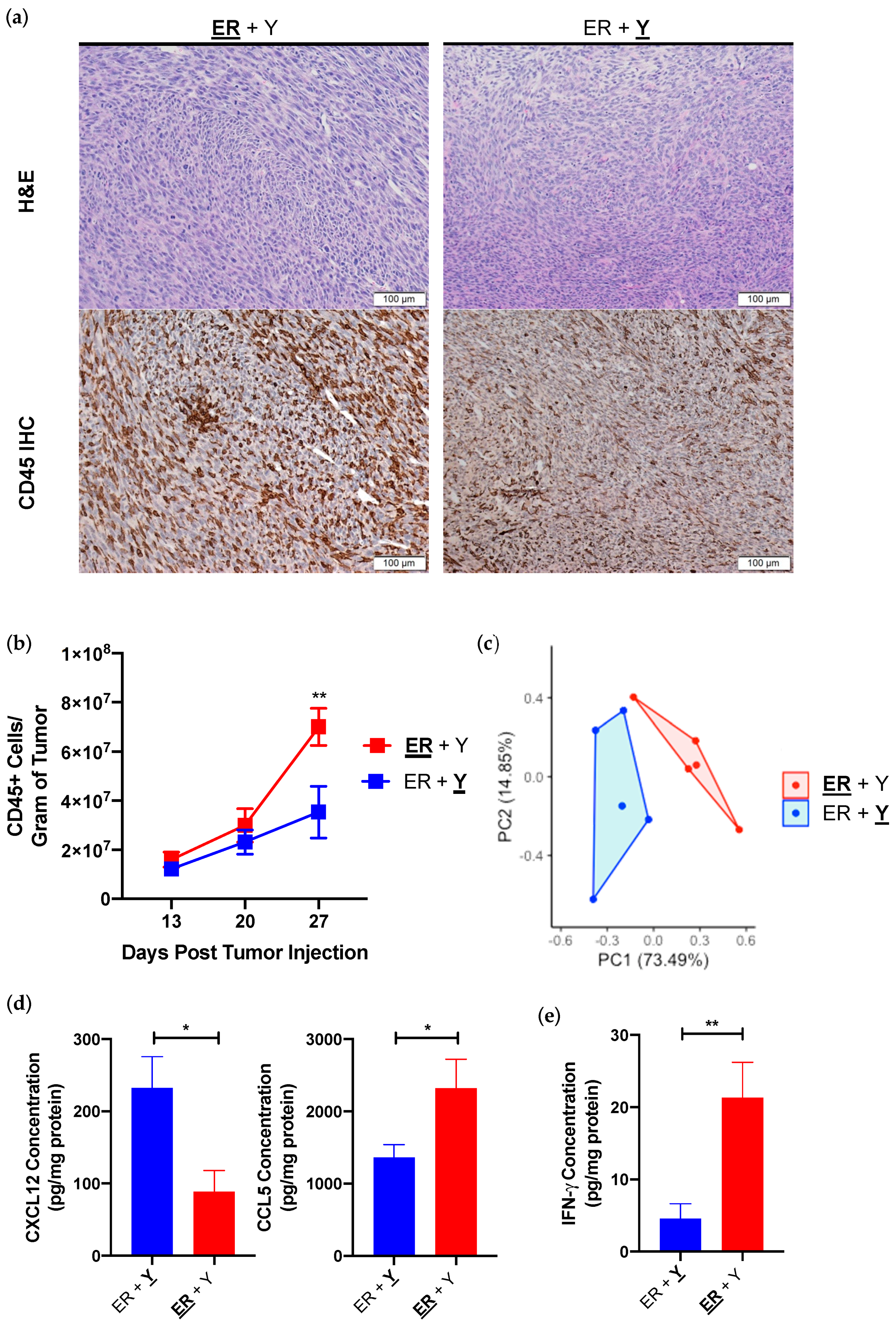Cancers 13 02293 g002