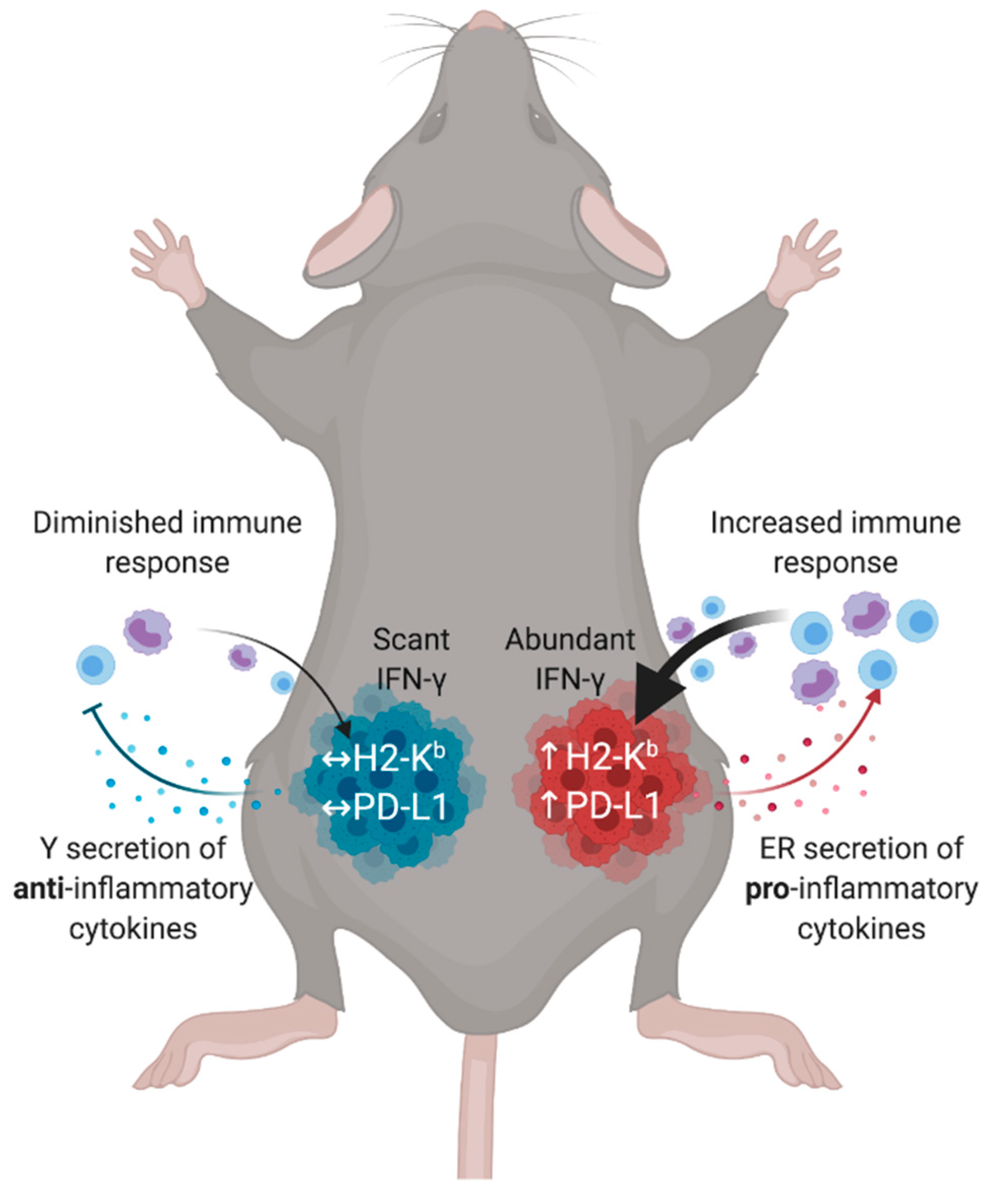 Cancers 13 02293 g006