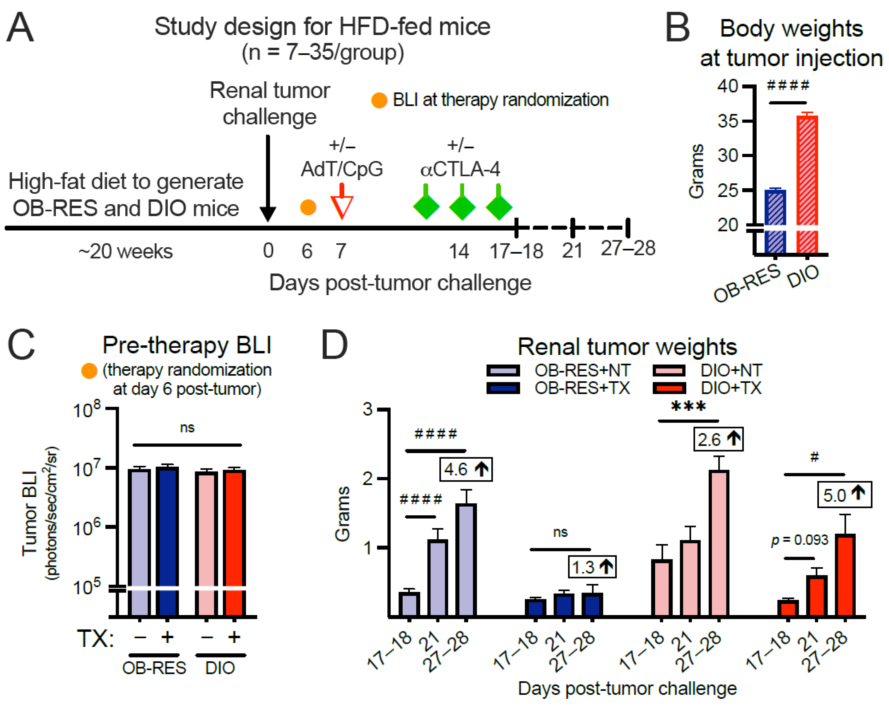 Cancers 13 02295 g002