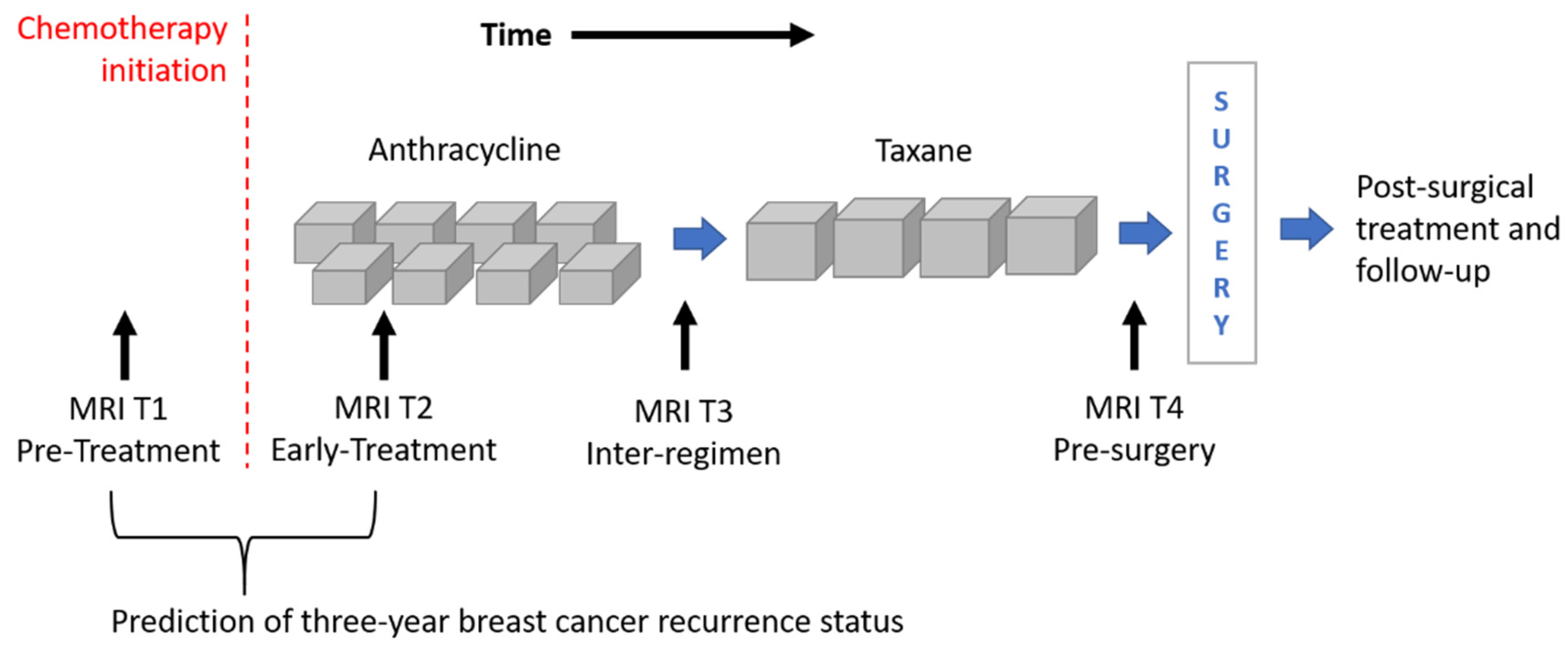 Cancers 13 02298 g001