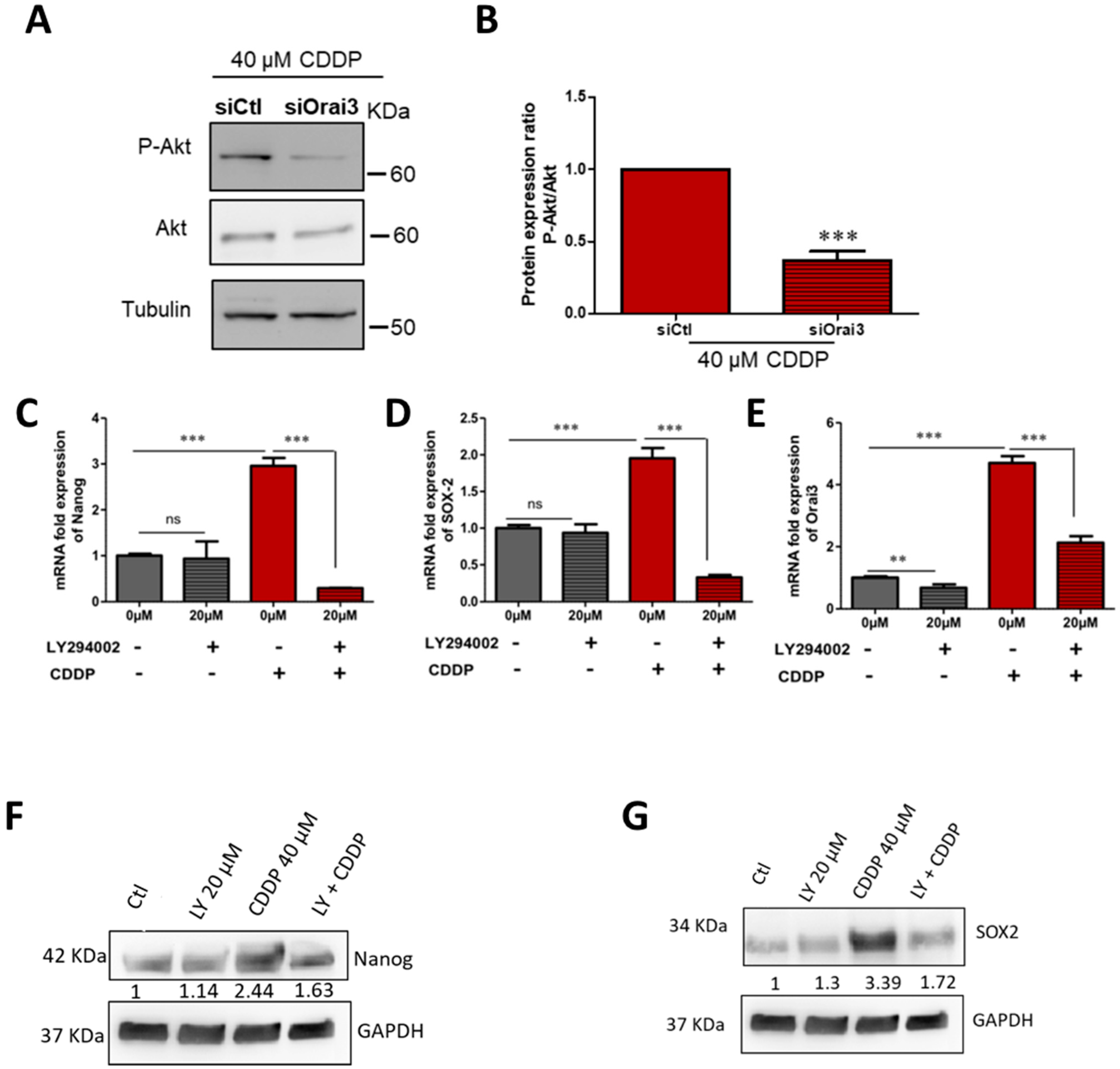 Cancers 13 02314 g009