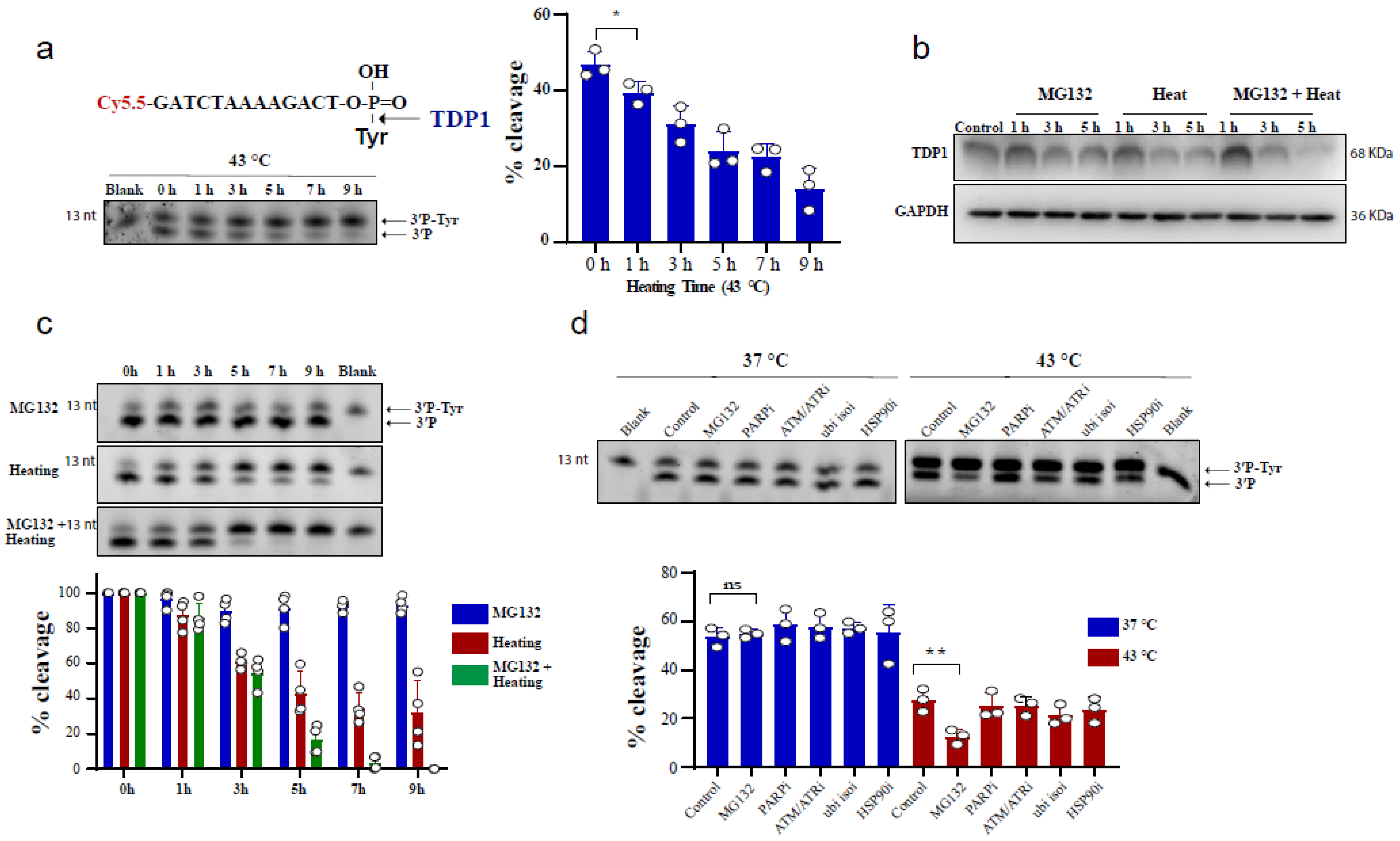 Cancers 13 02315 g001