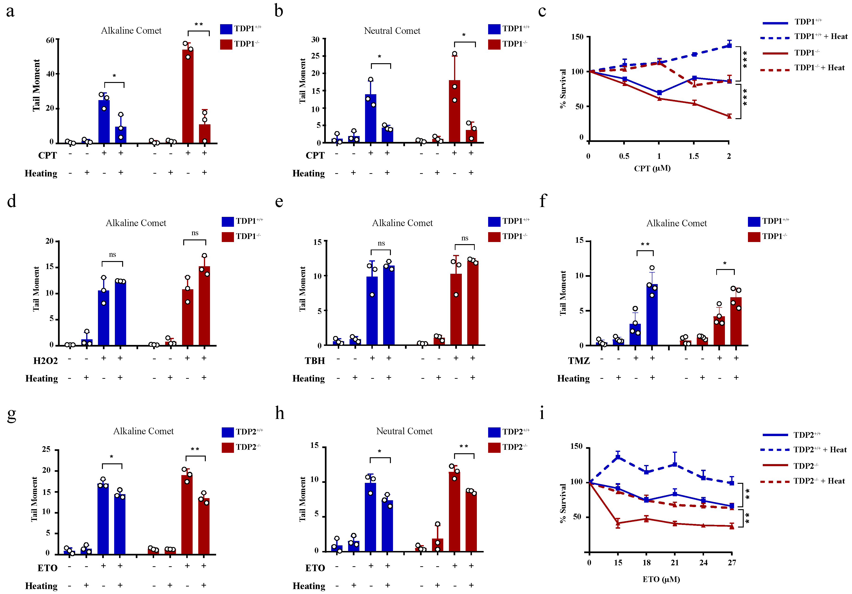 Cancers 13 02315 g003