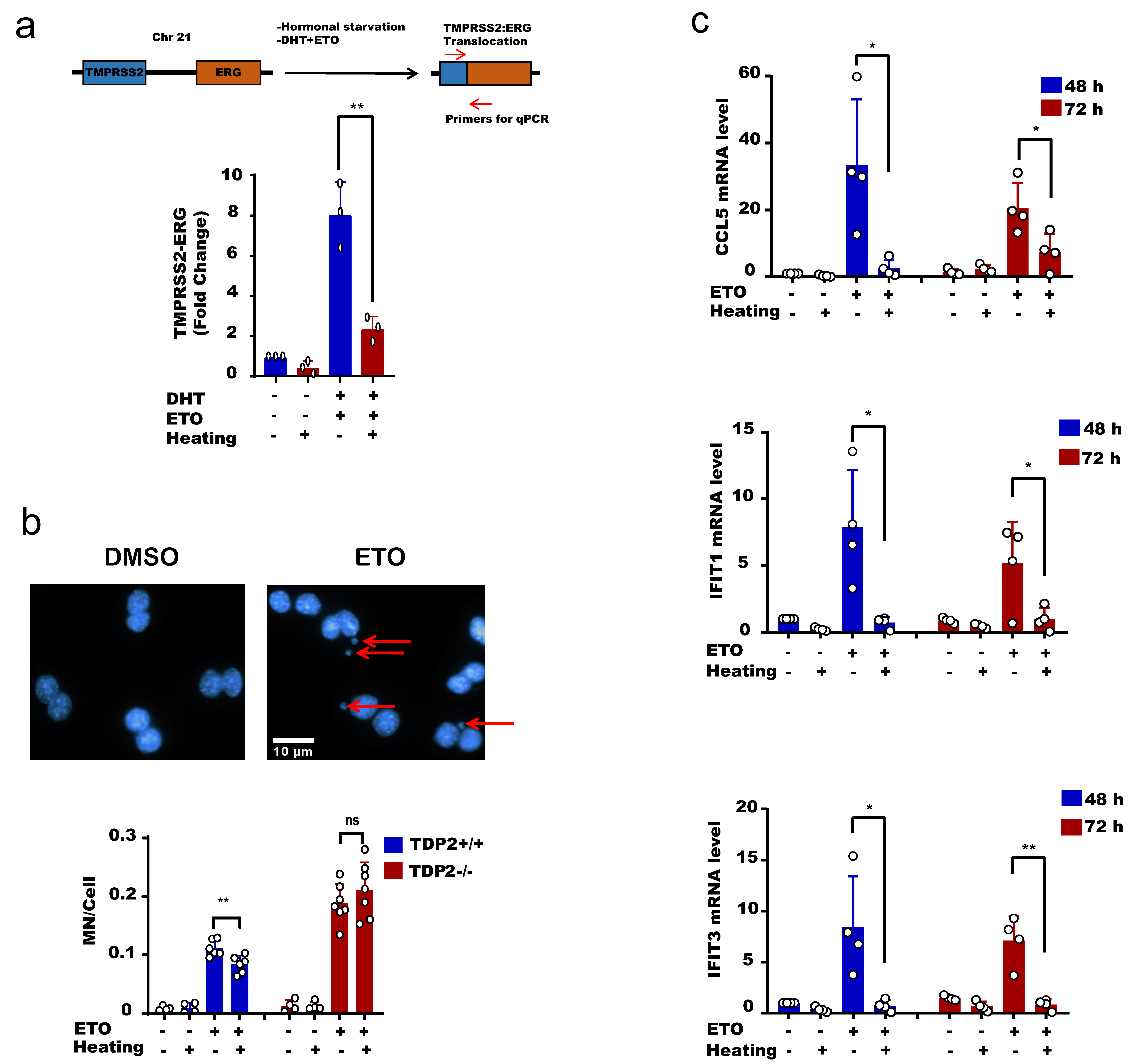 Cancers 13 02315 g006