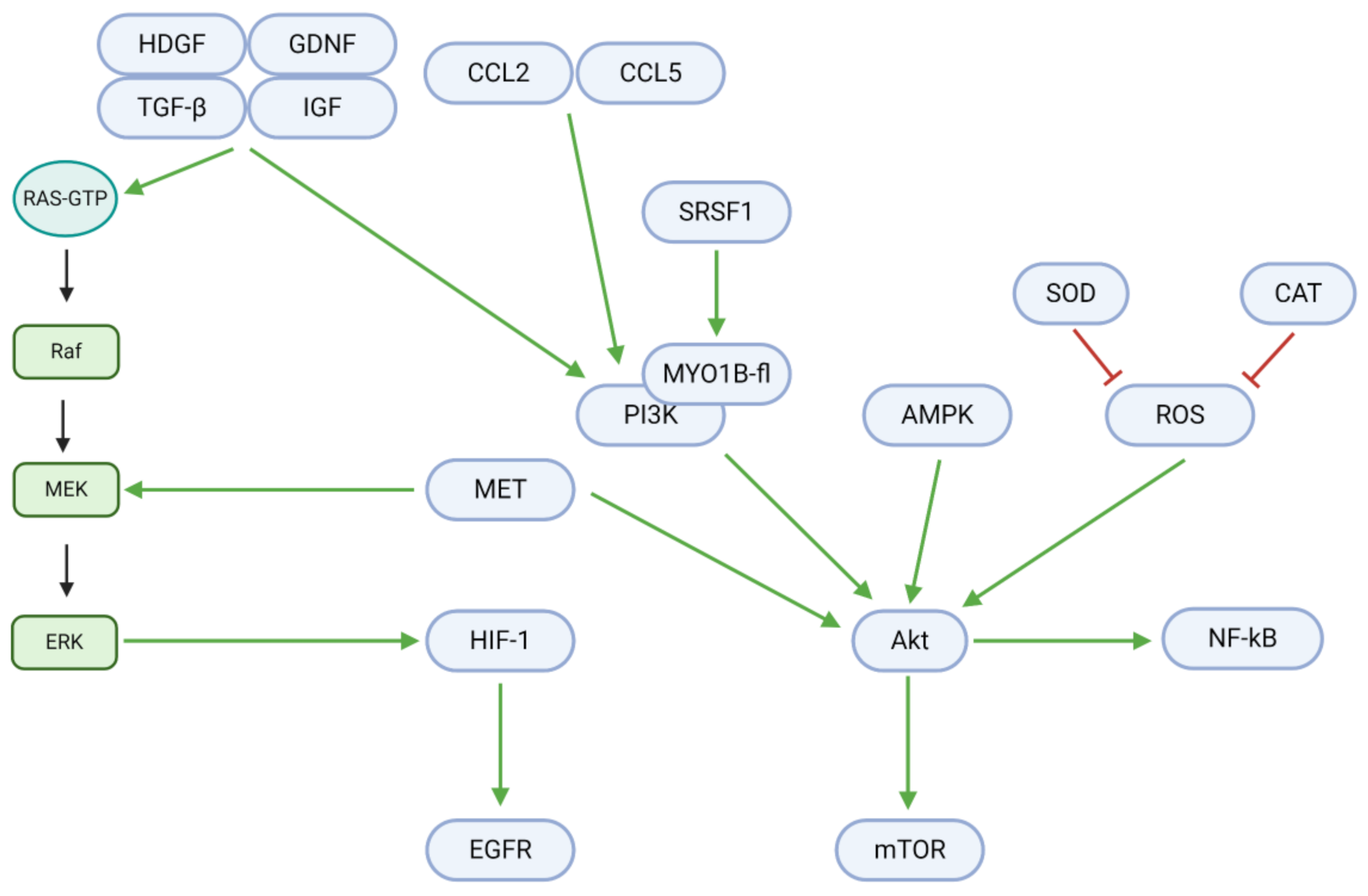 Cancers 13 02317 g004