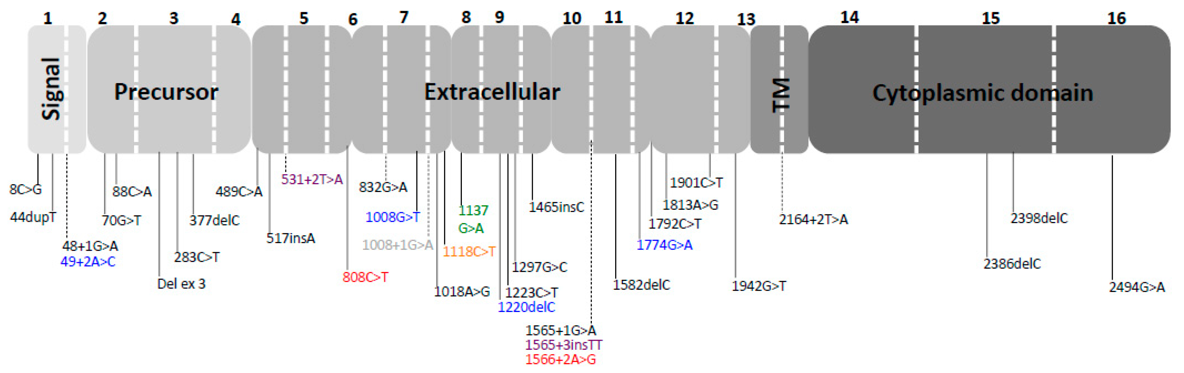Cancers 13 02321 g002