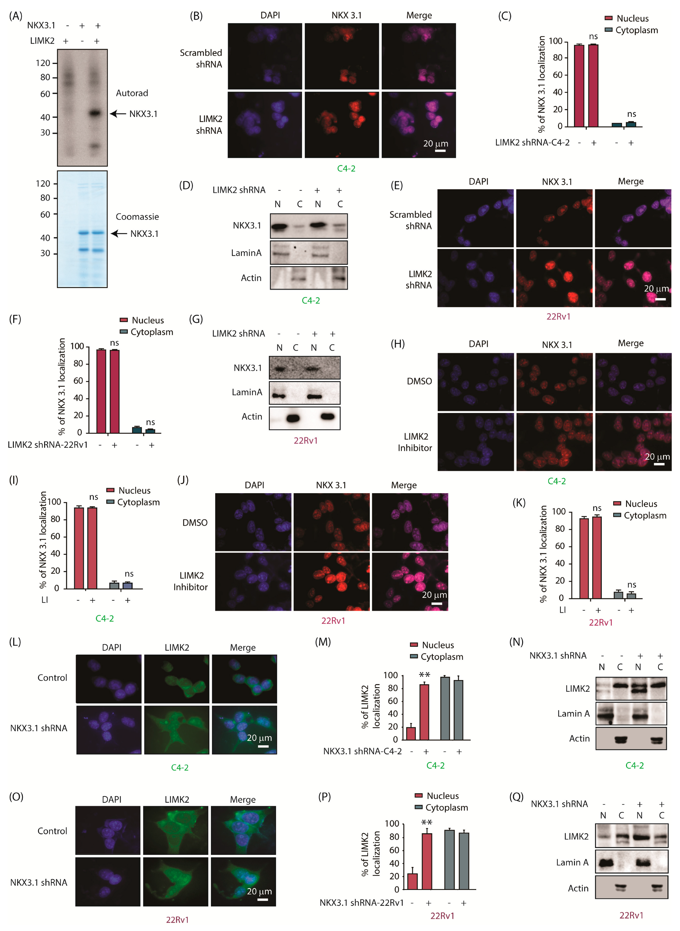Cancers 13 02324 g001