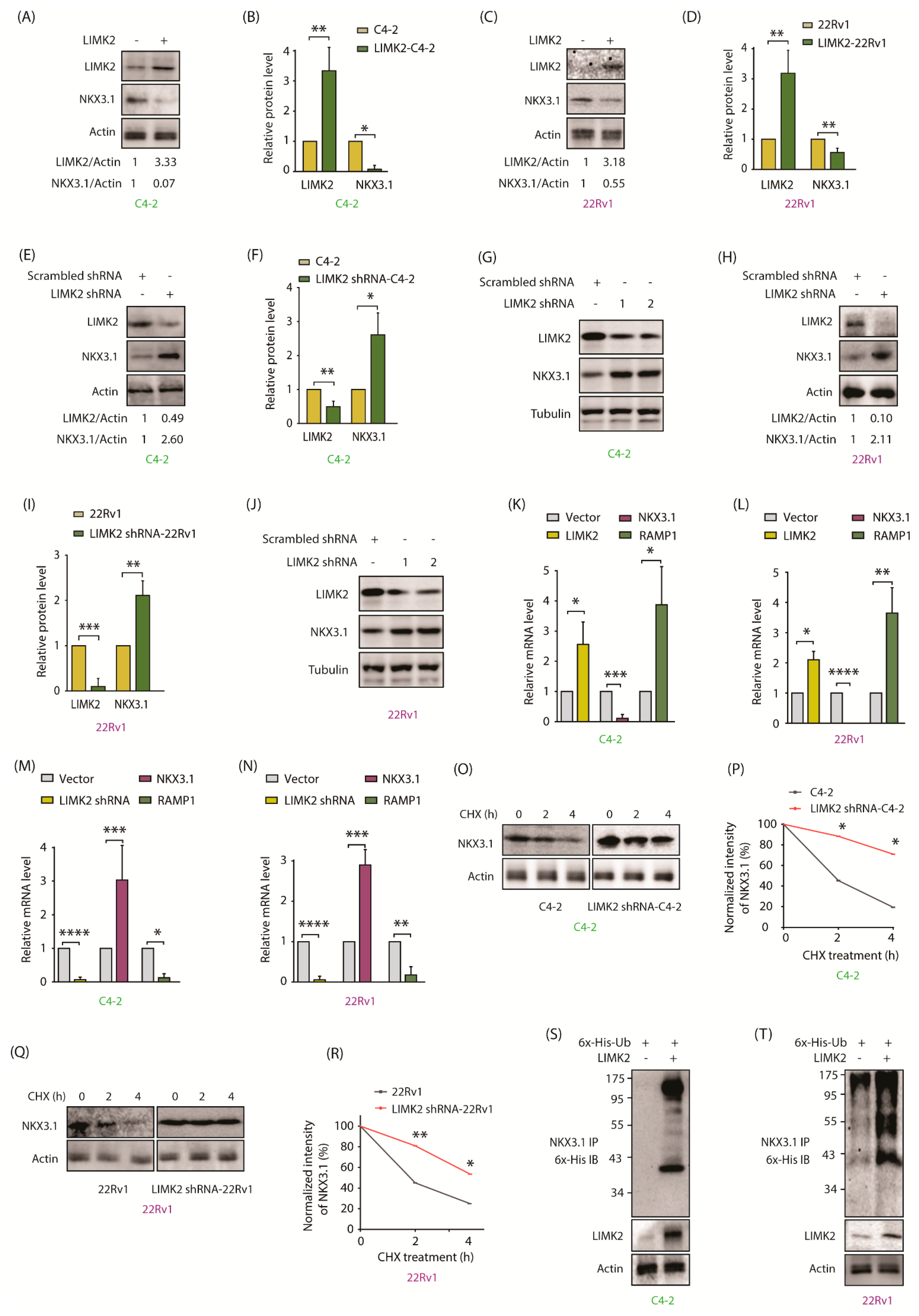 Cancers 13 02324 g002