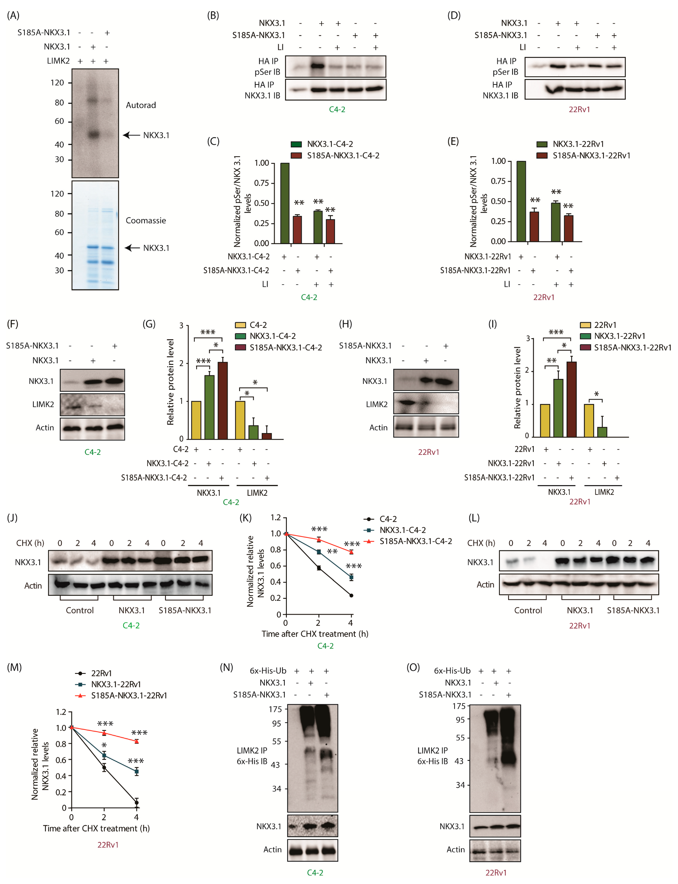 Cancers 13 02324 g004