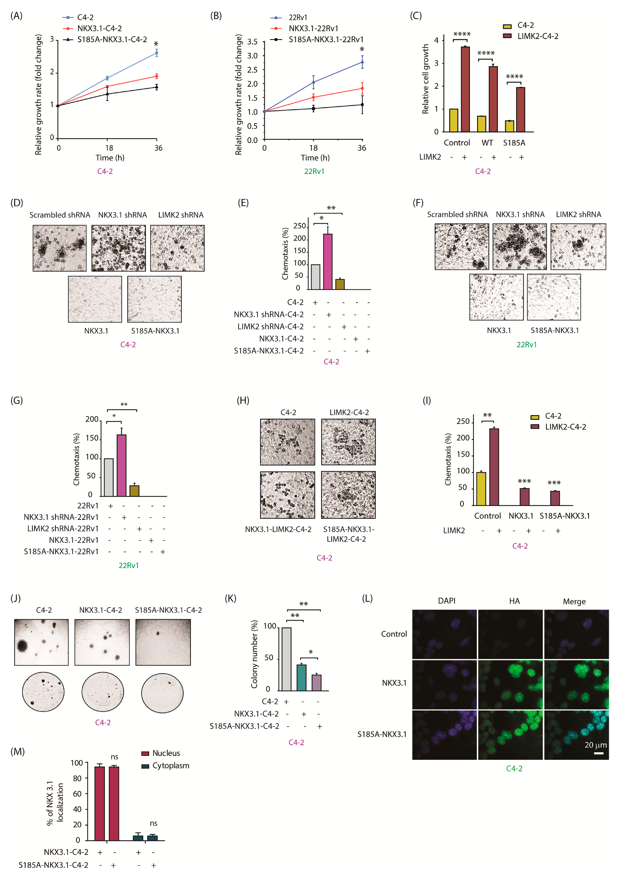 Cancers 13 02324 g005