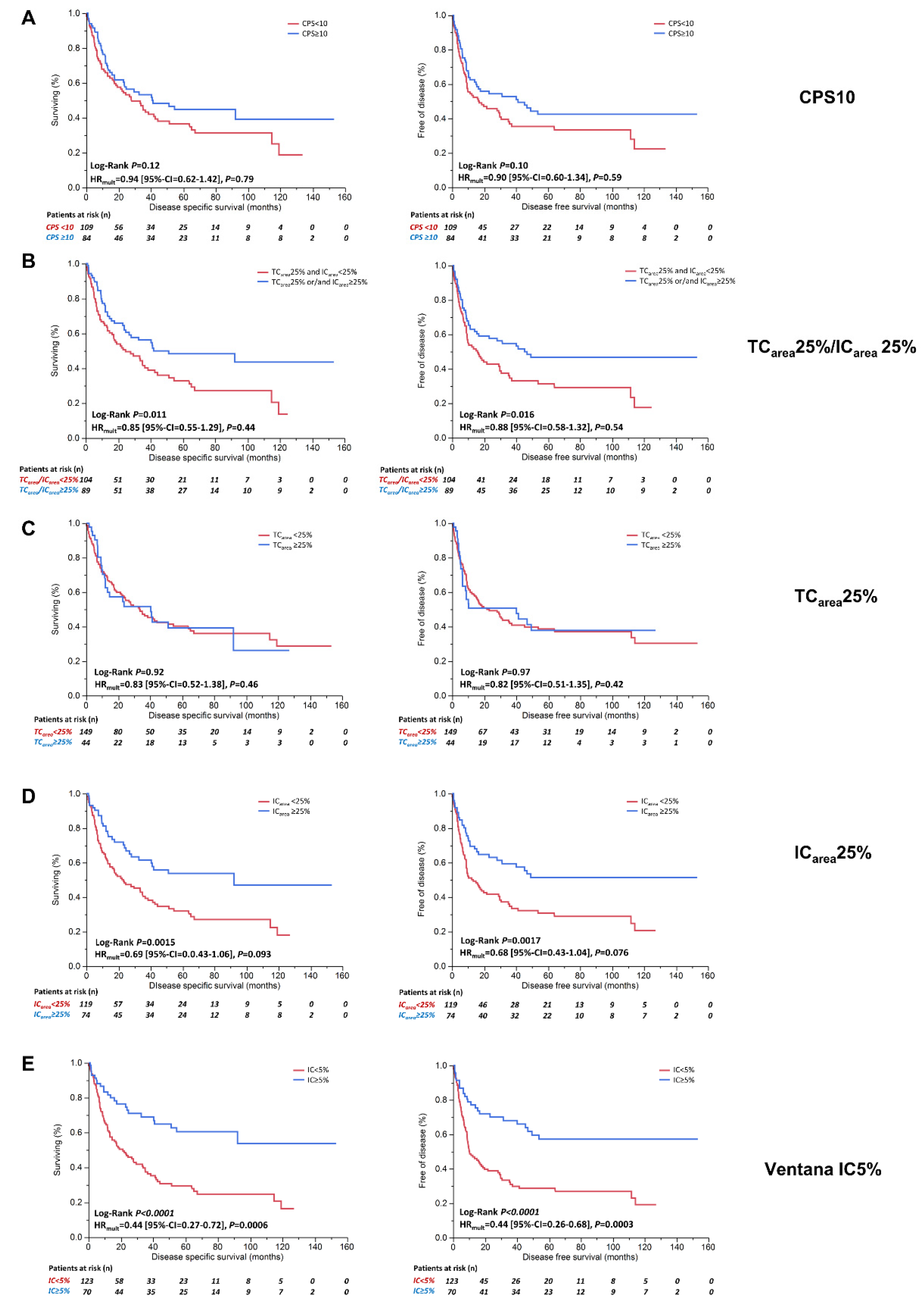 Cancers 13 02327 g002