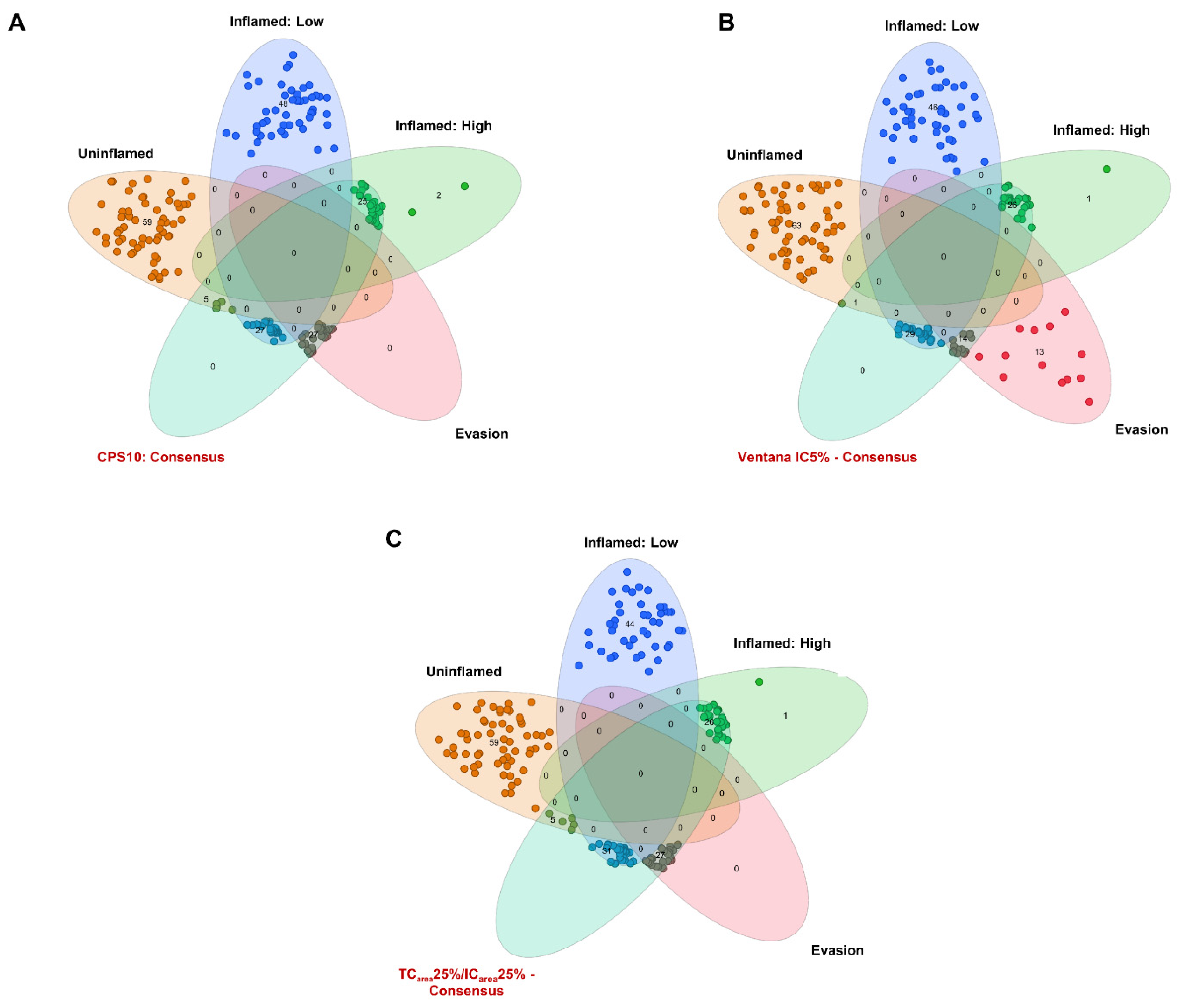 Cancers 13 02327 g004