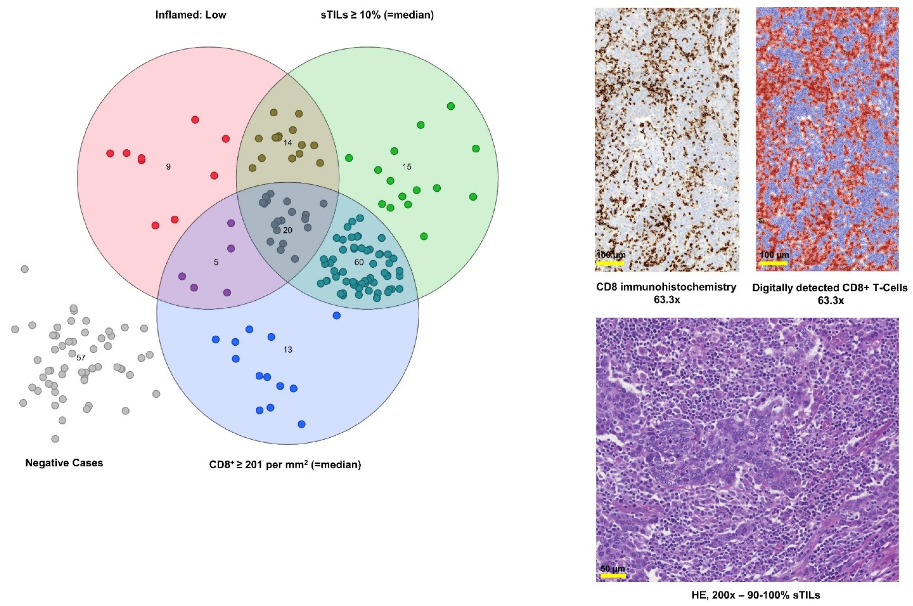 Cancers 13 02327 g005