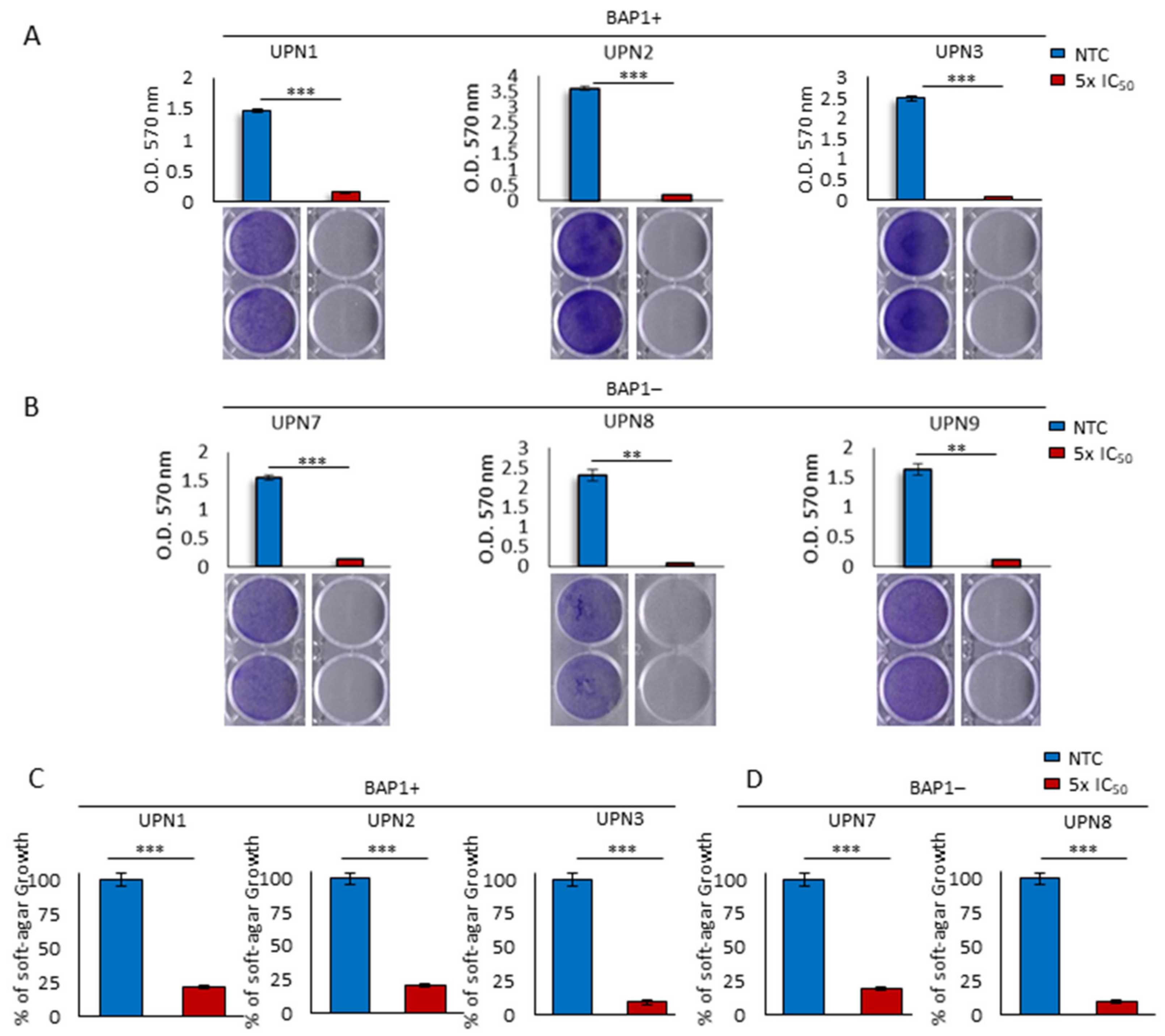Cancers 13 02332 g003