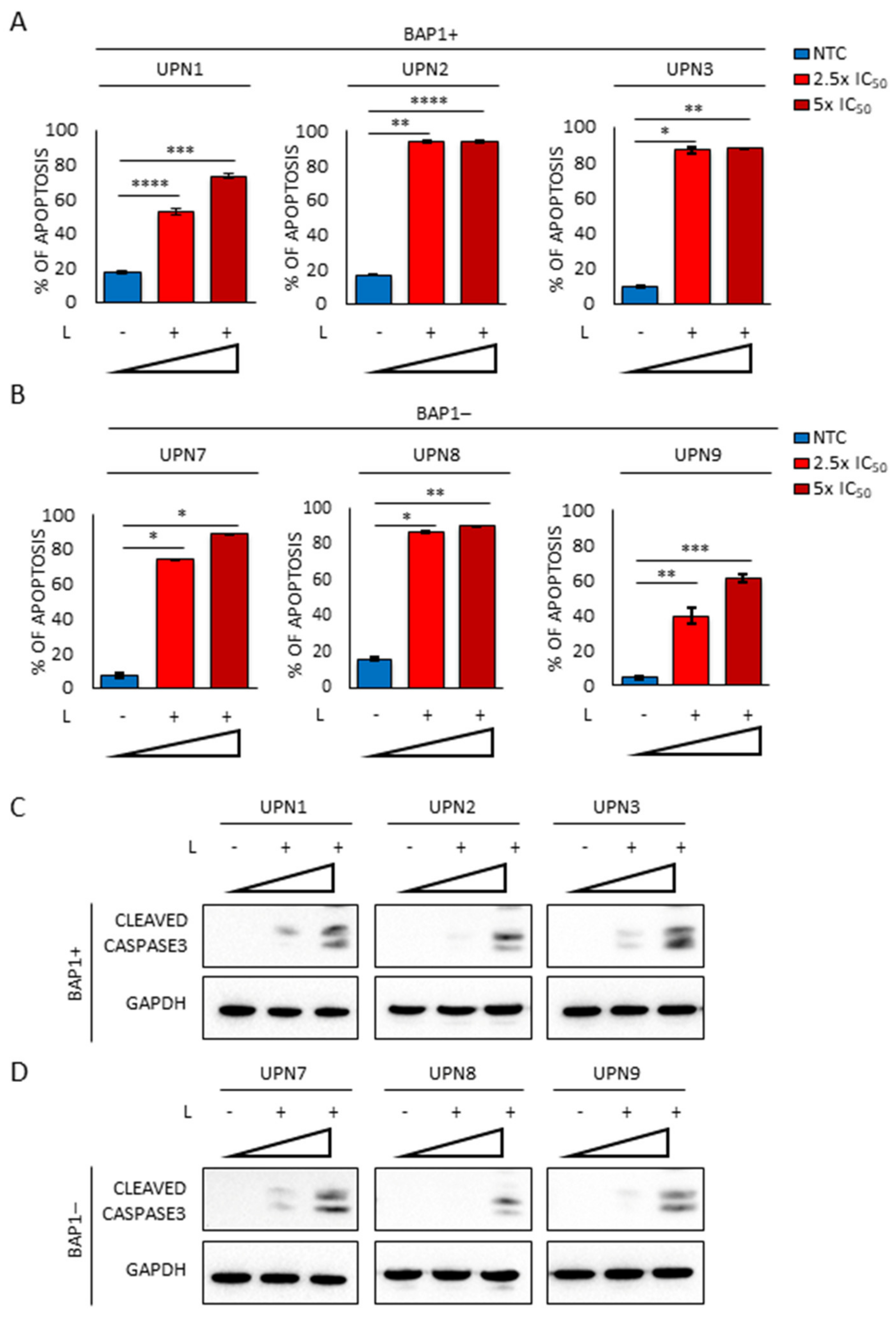 Cancers 13 02332 g006