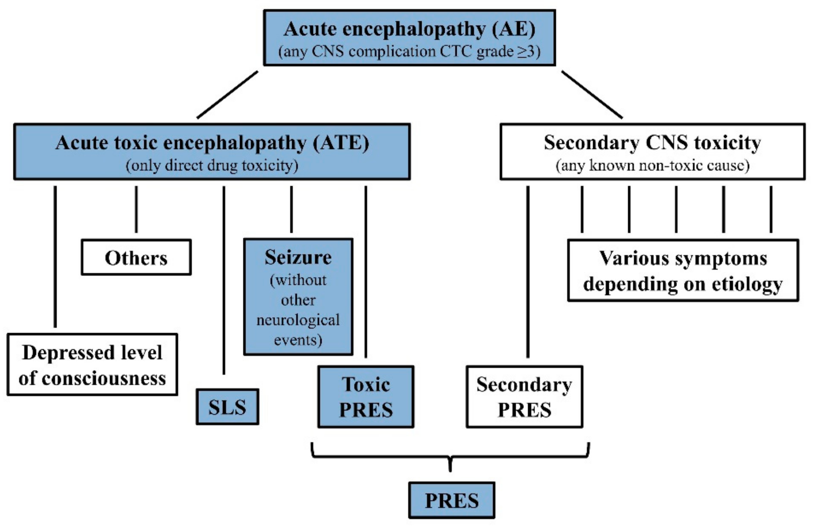 Cancers 13 02333 g001