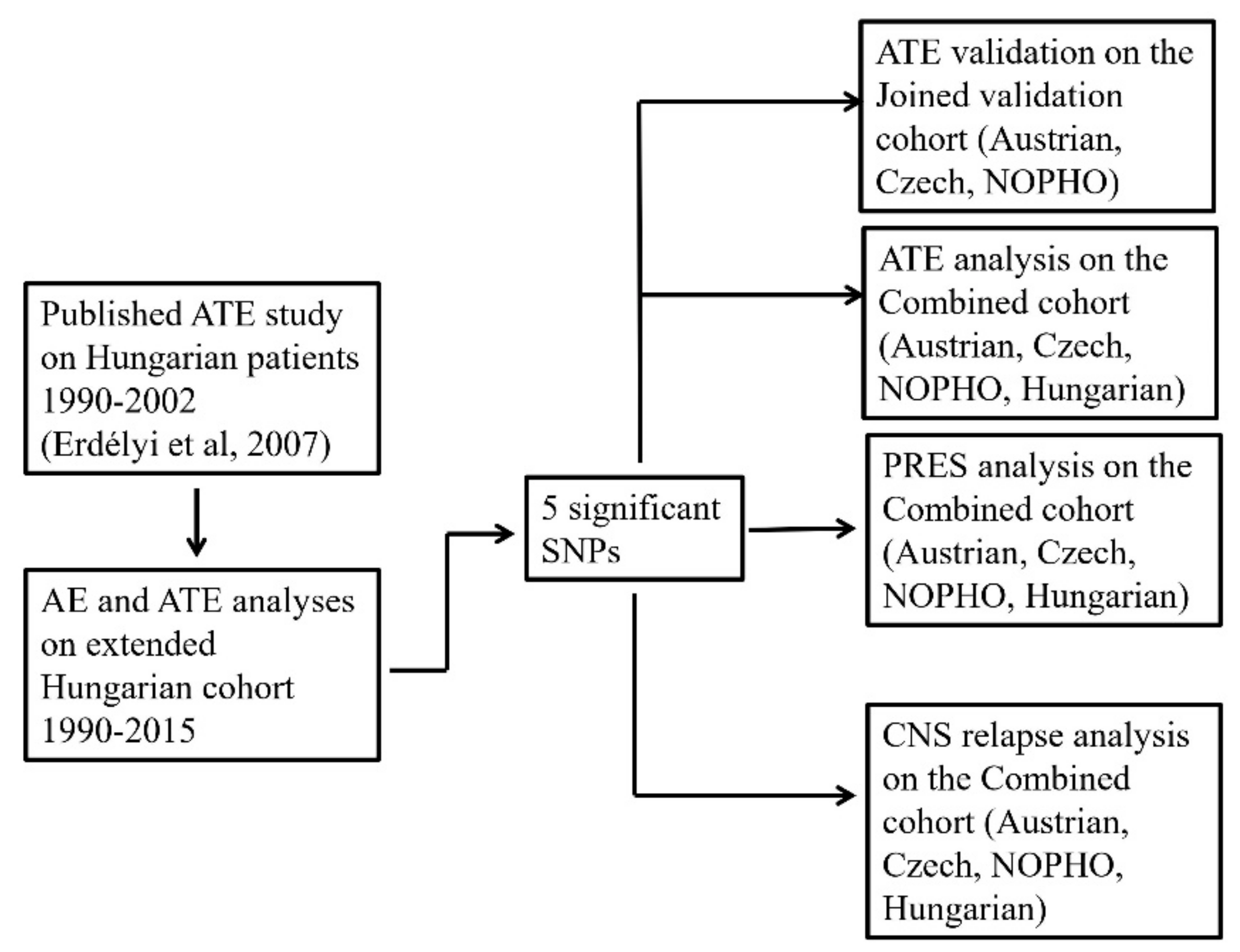 Cancers 13 02333 g002