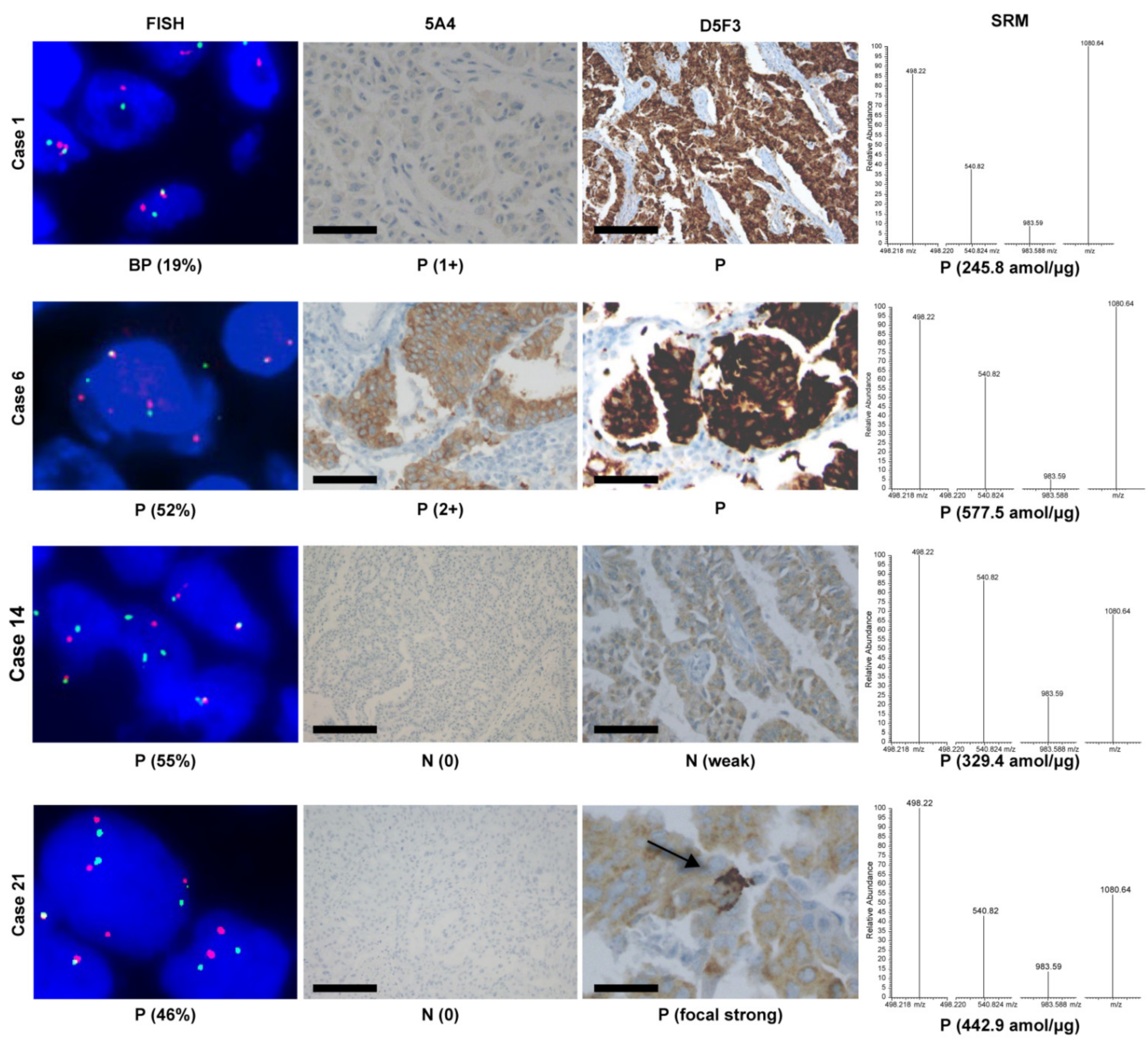 Cancers 13 02337 g001