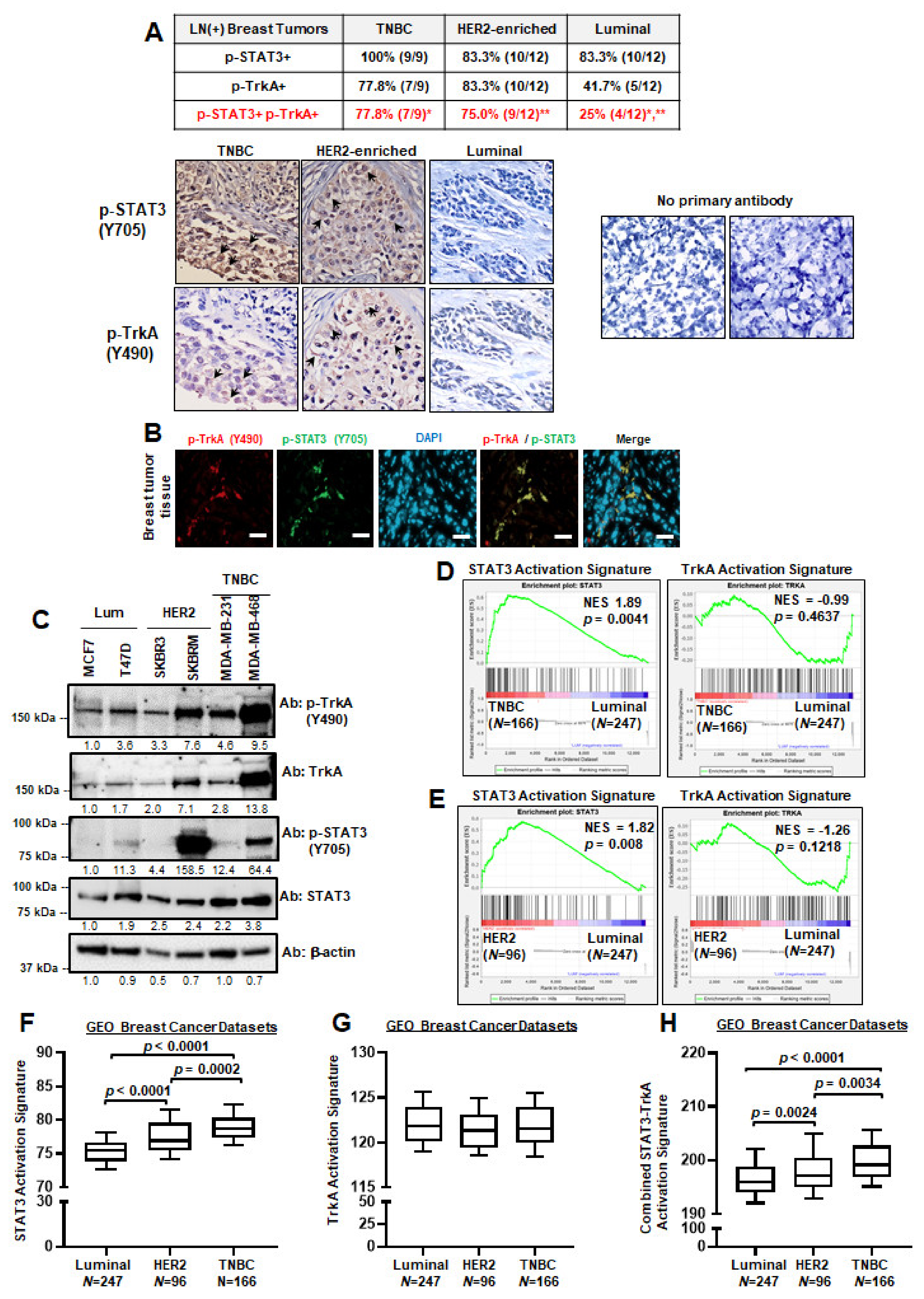 Cancers 13 02340 g001