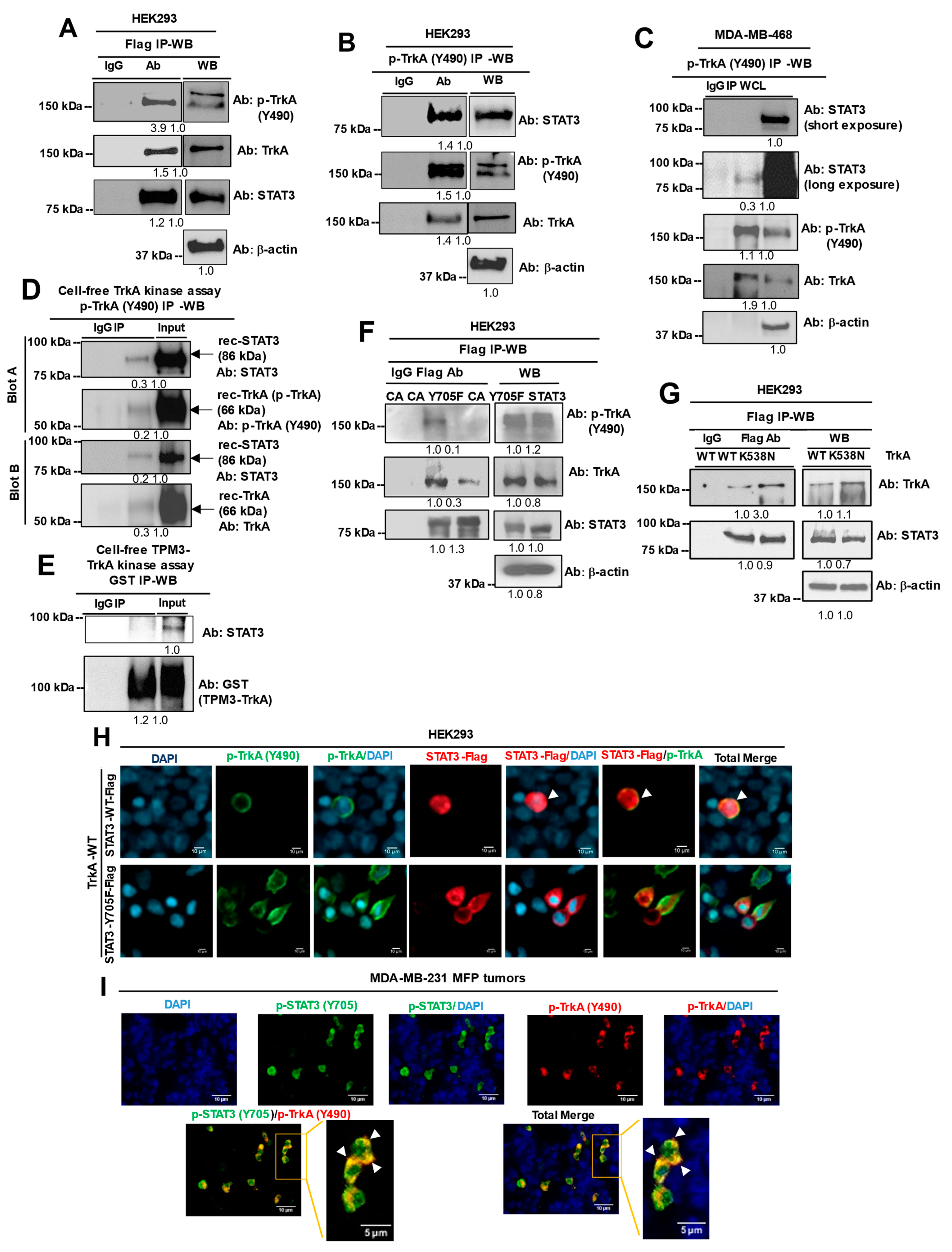 Cancers 13 02340 g002