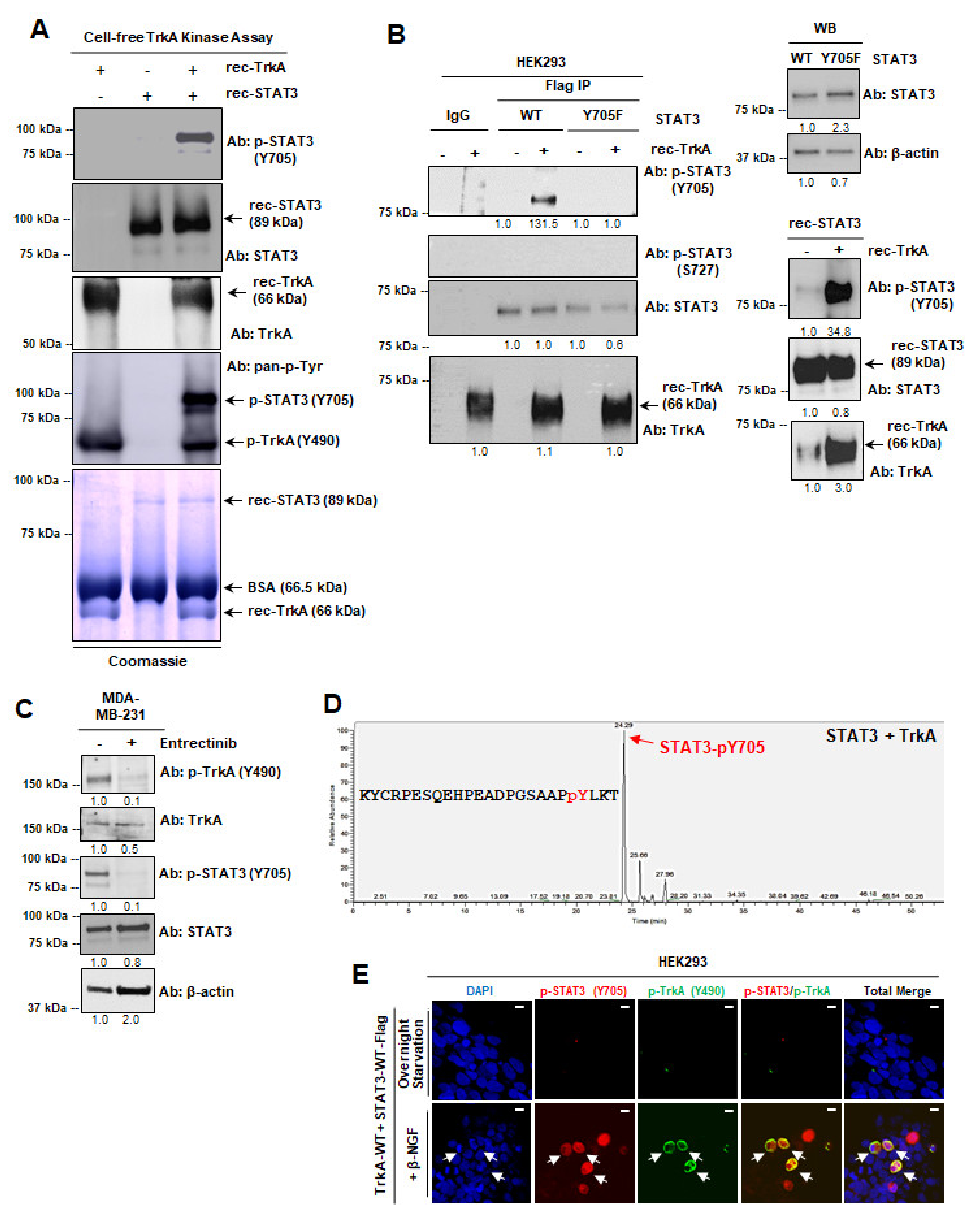 Cancers 13 02340 g003