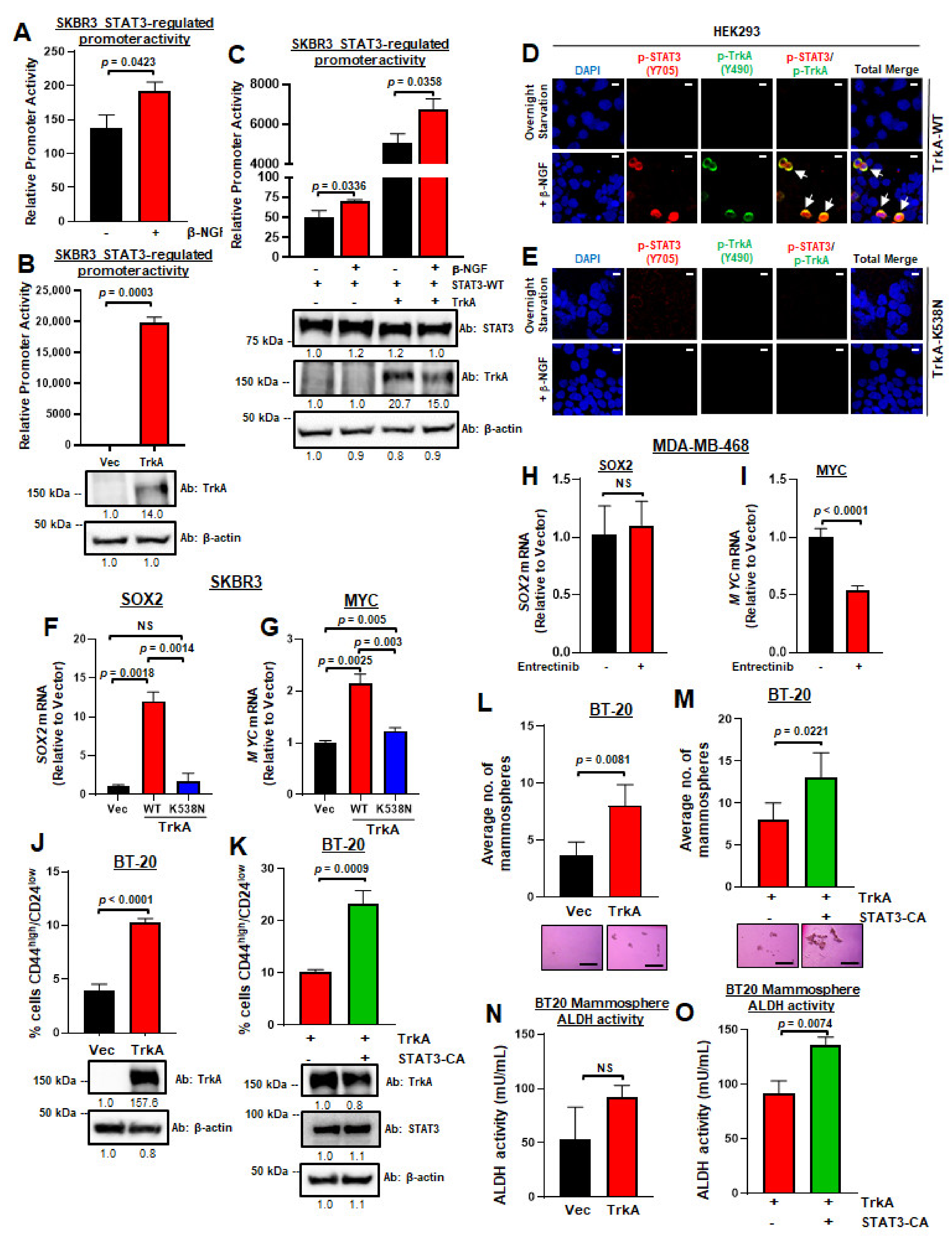 Cancers 13 02340 g004