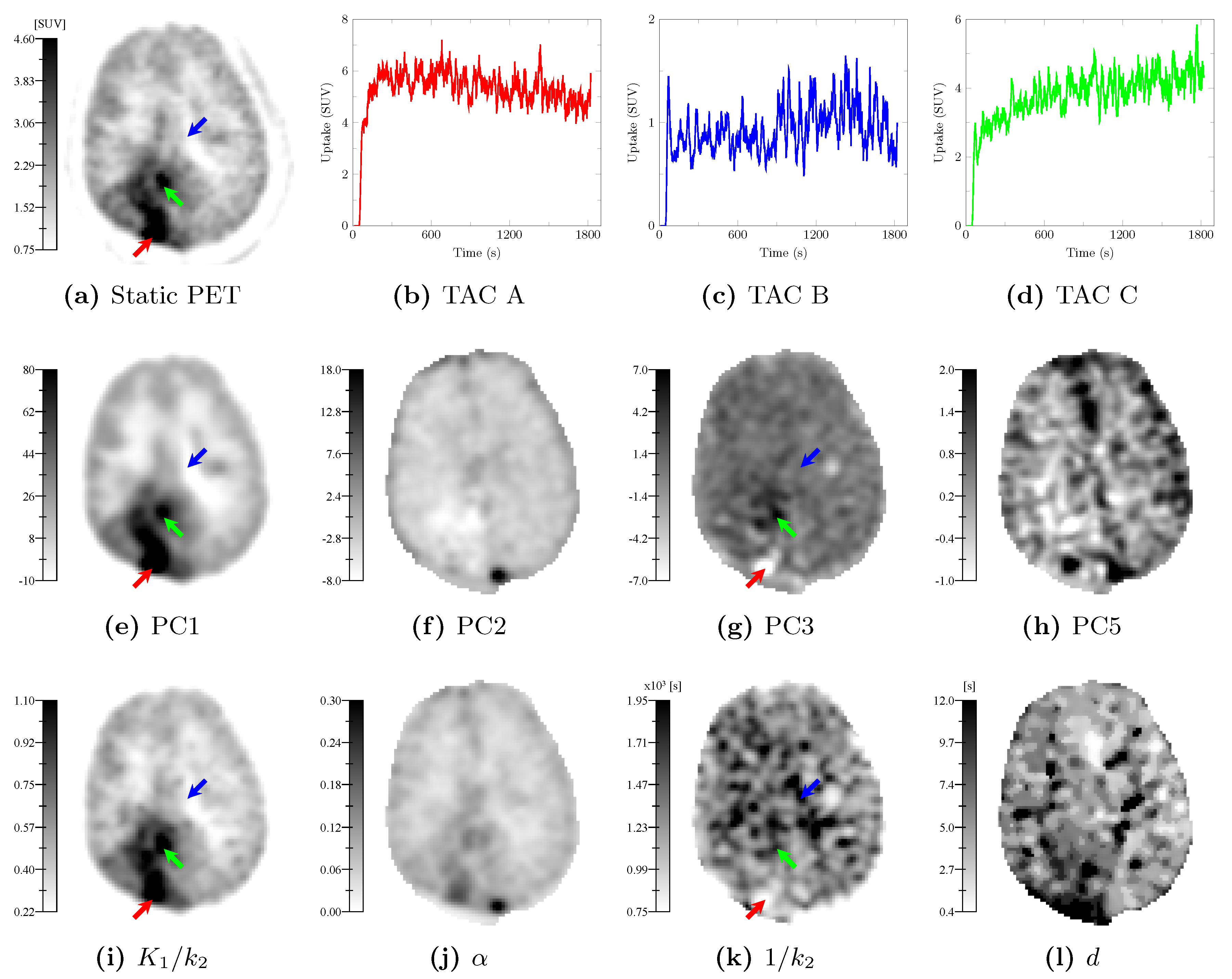 Cancers 13 02342 g007 Cancers 13 02342 g007
