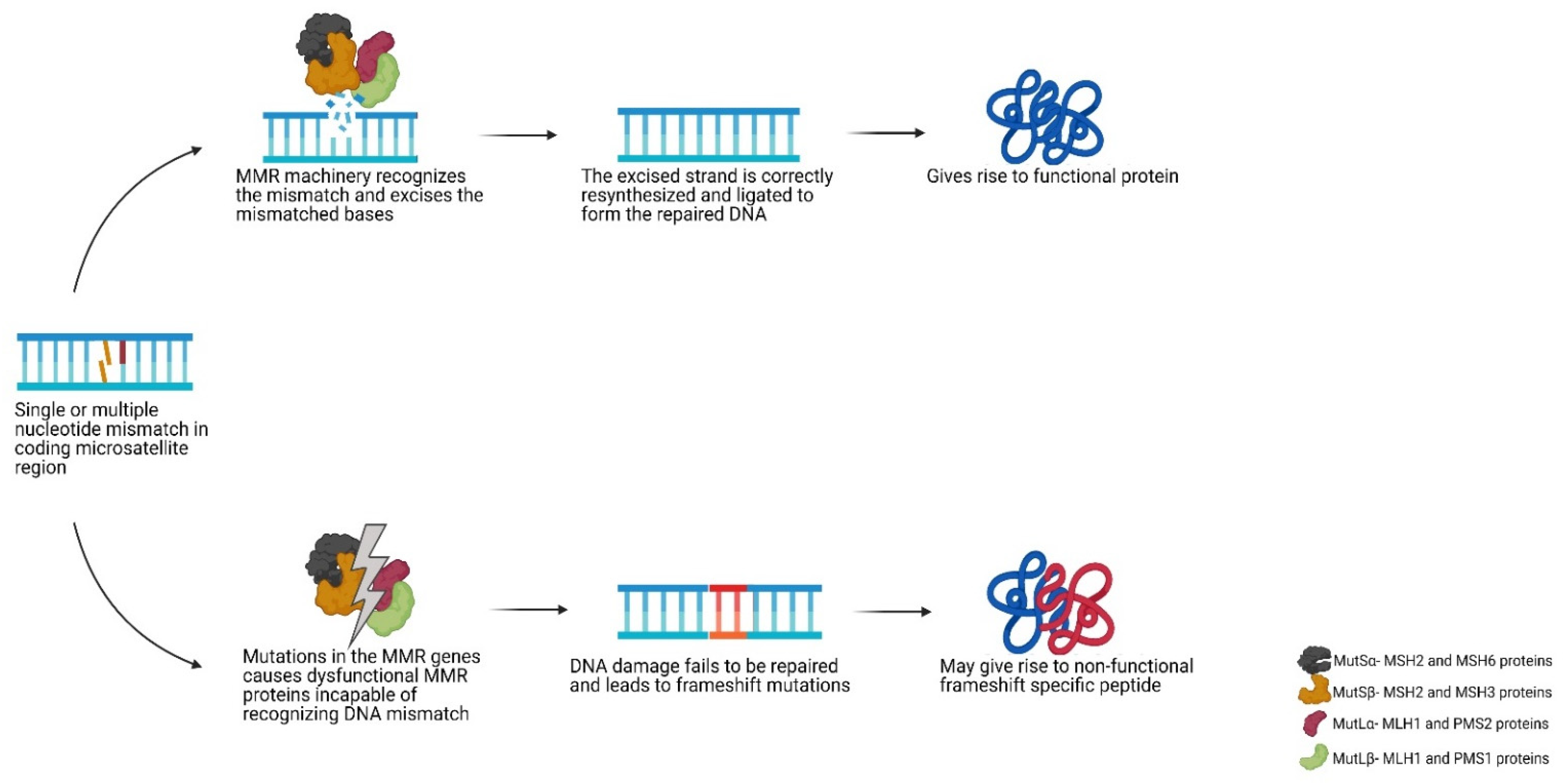 Cancers 13 02345 g002