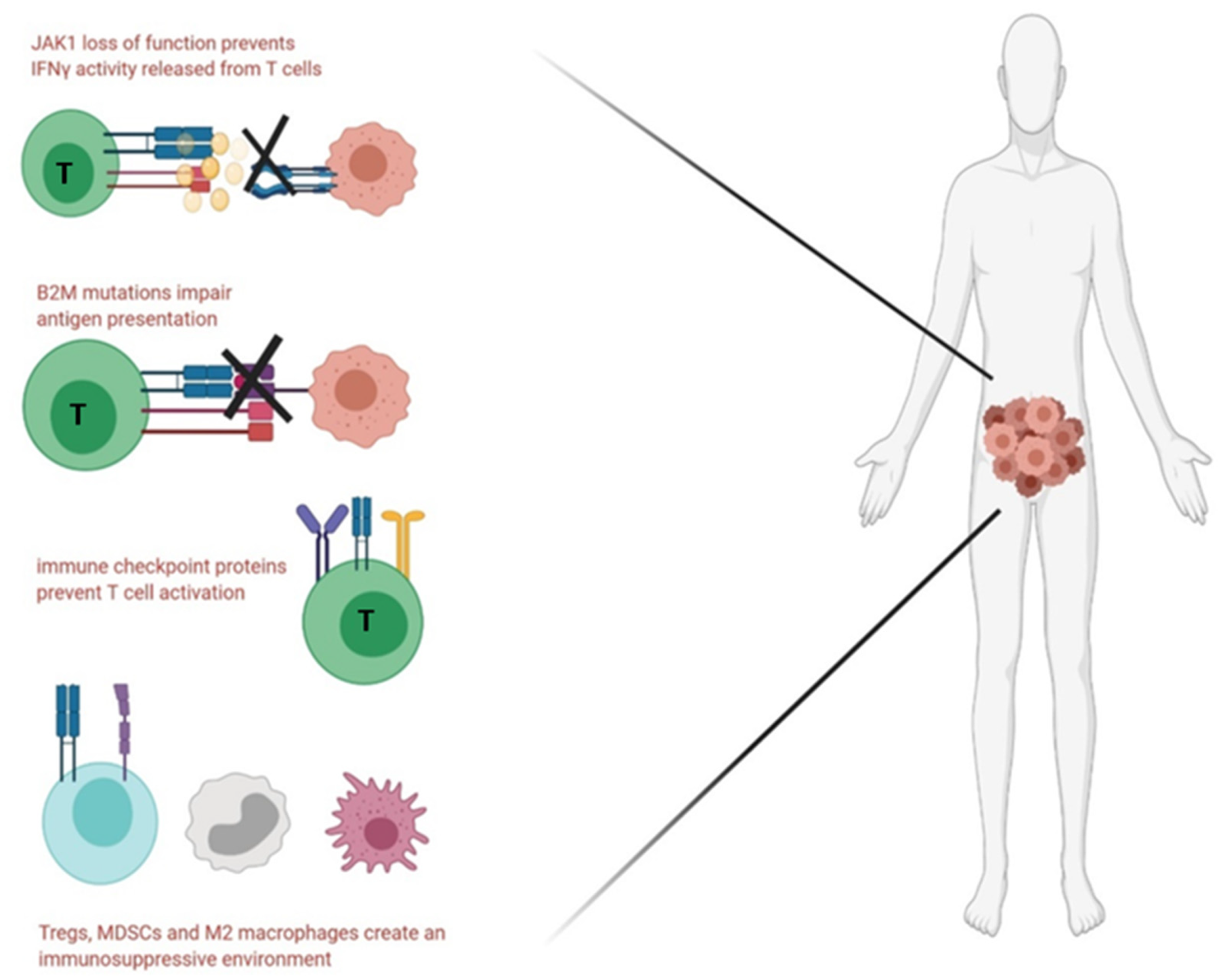 Cancers 13 02345 g004