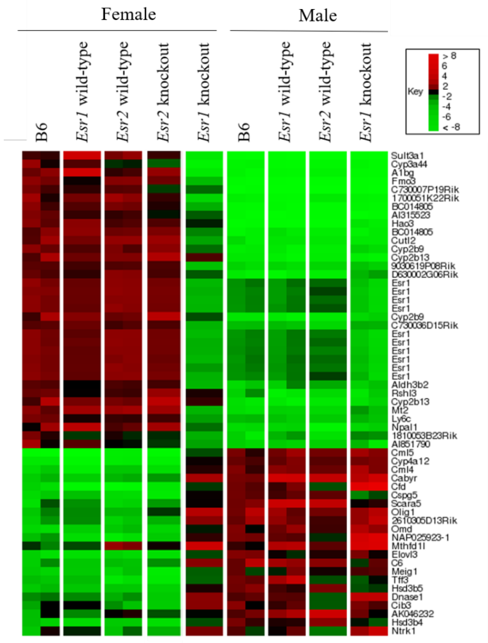 Cancers 13 02355 g001
