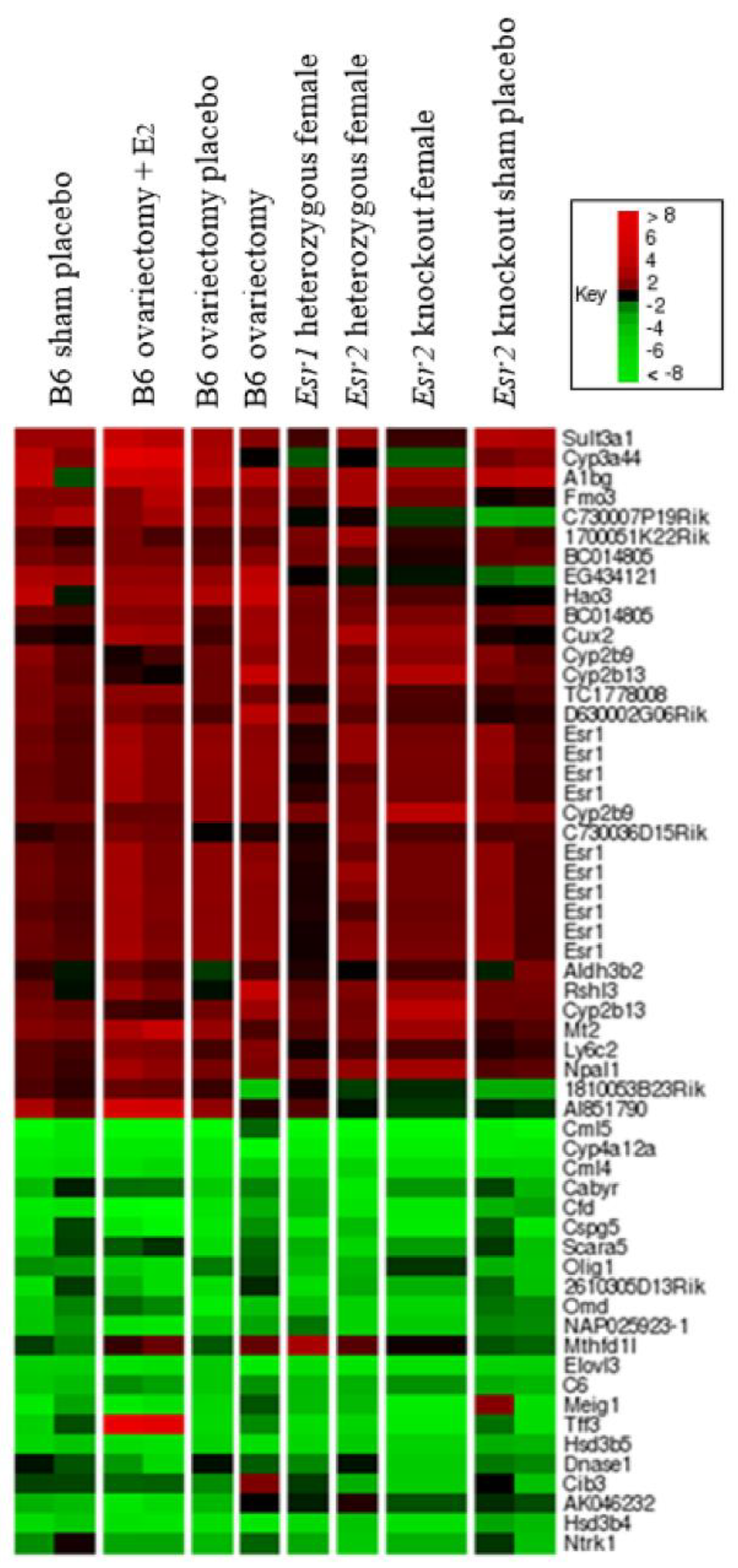 Cancers 13 02355 g004