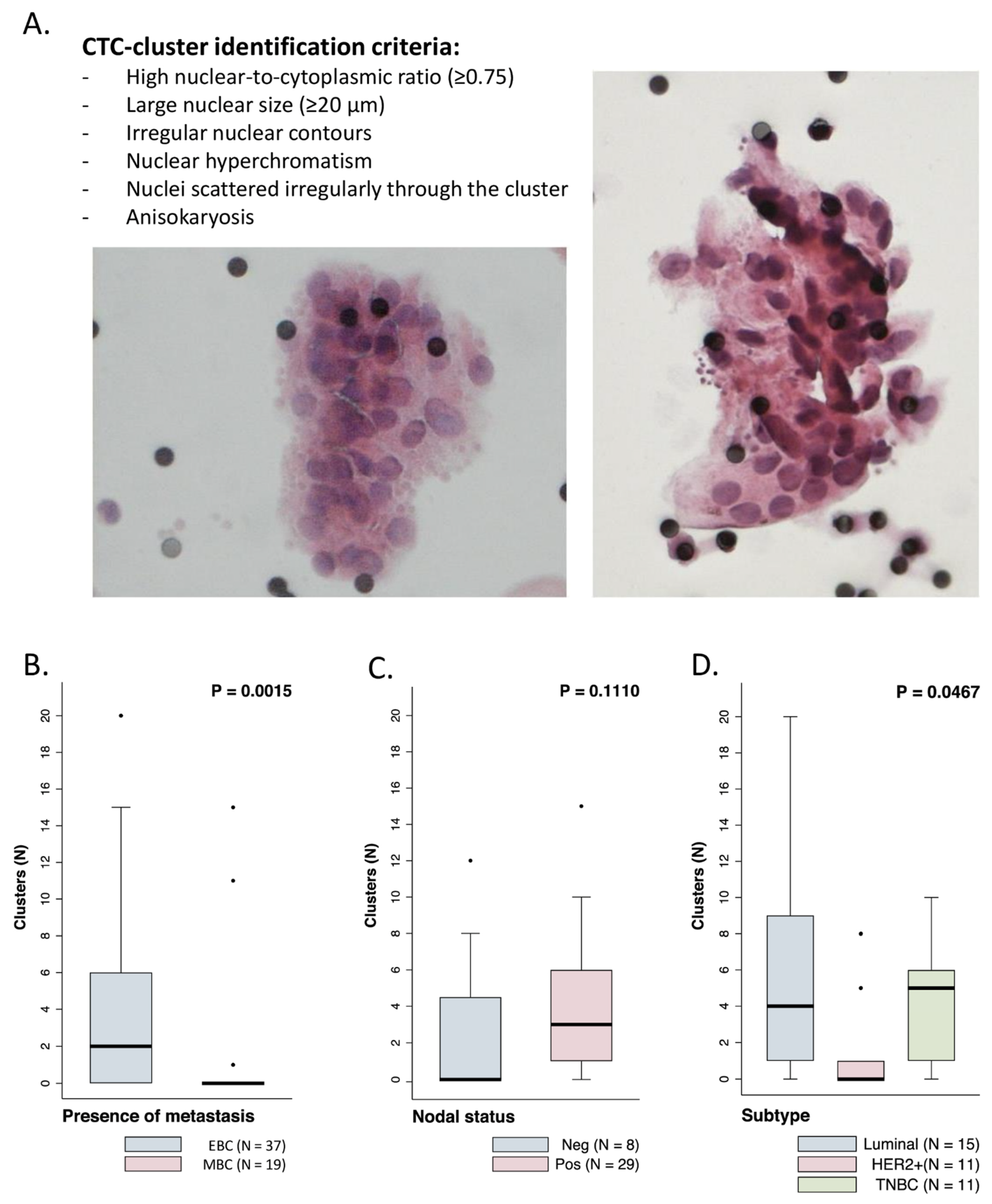 Cancers 13 02356 g002