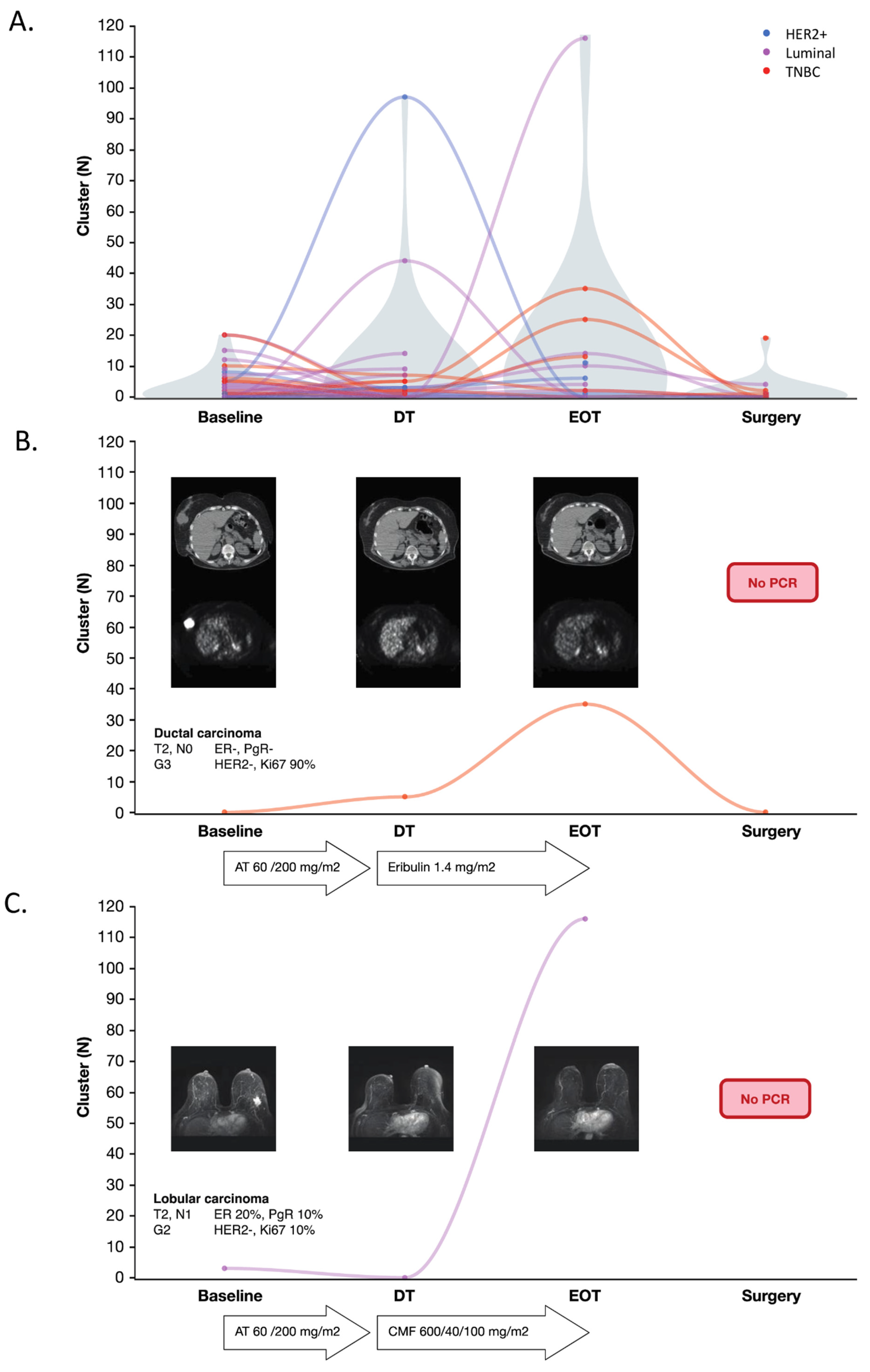 Cancers 13 02356 g004