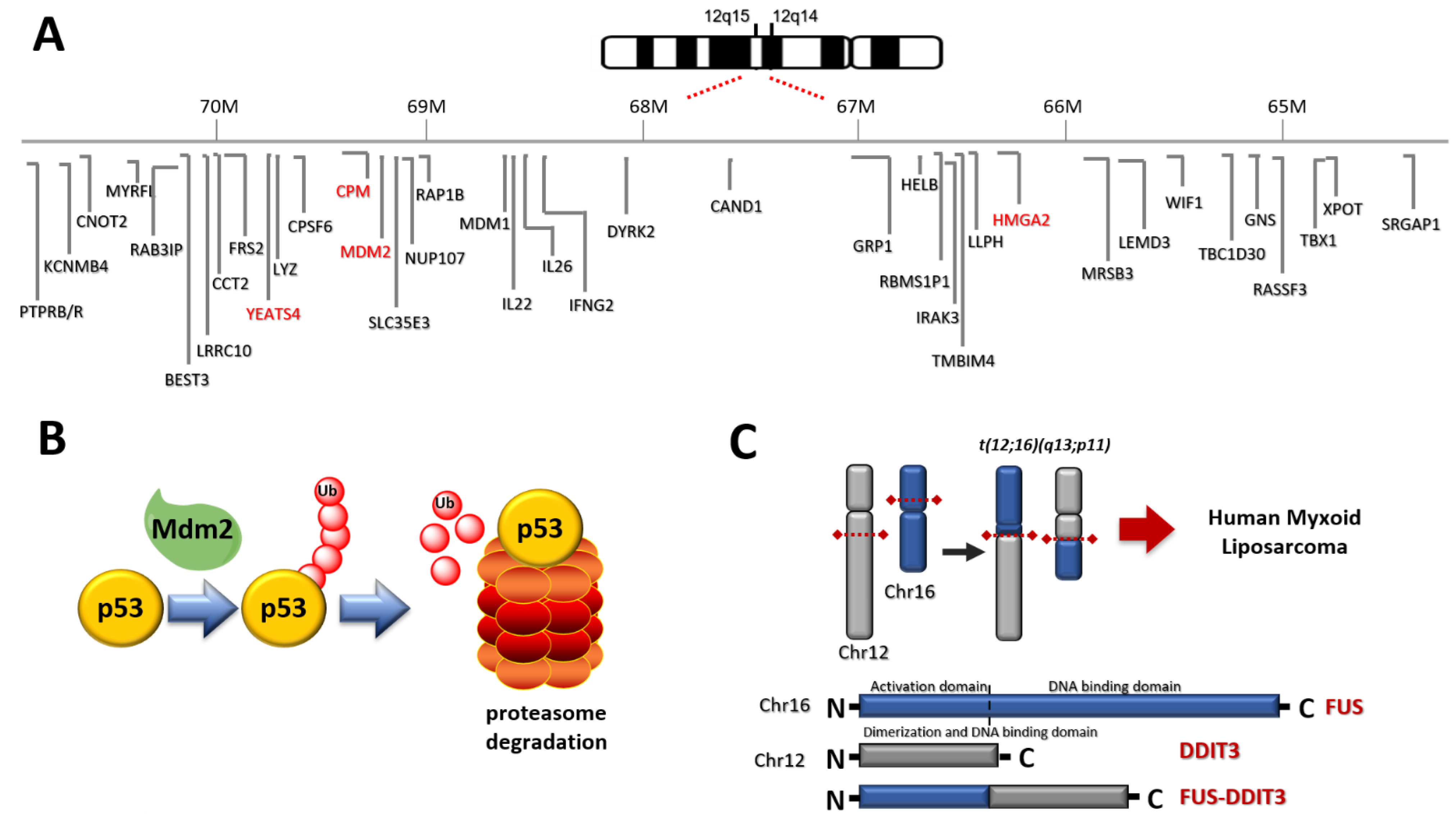 Cancers 13 02359 g001