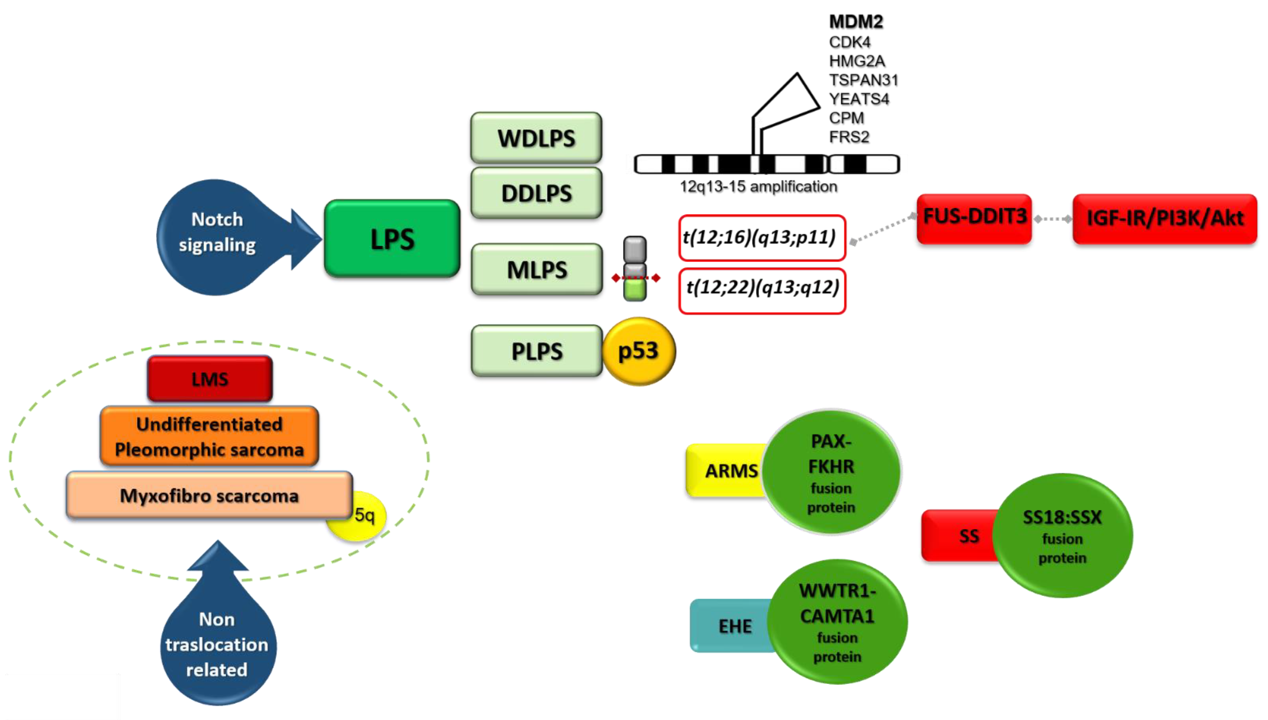 Cancers 13 02359 g002
