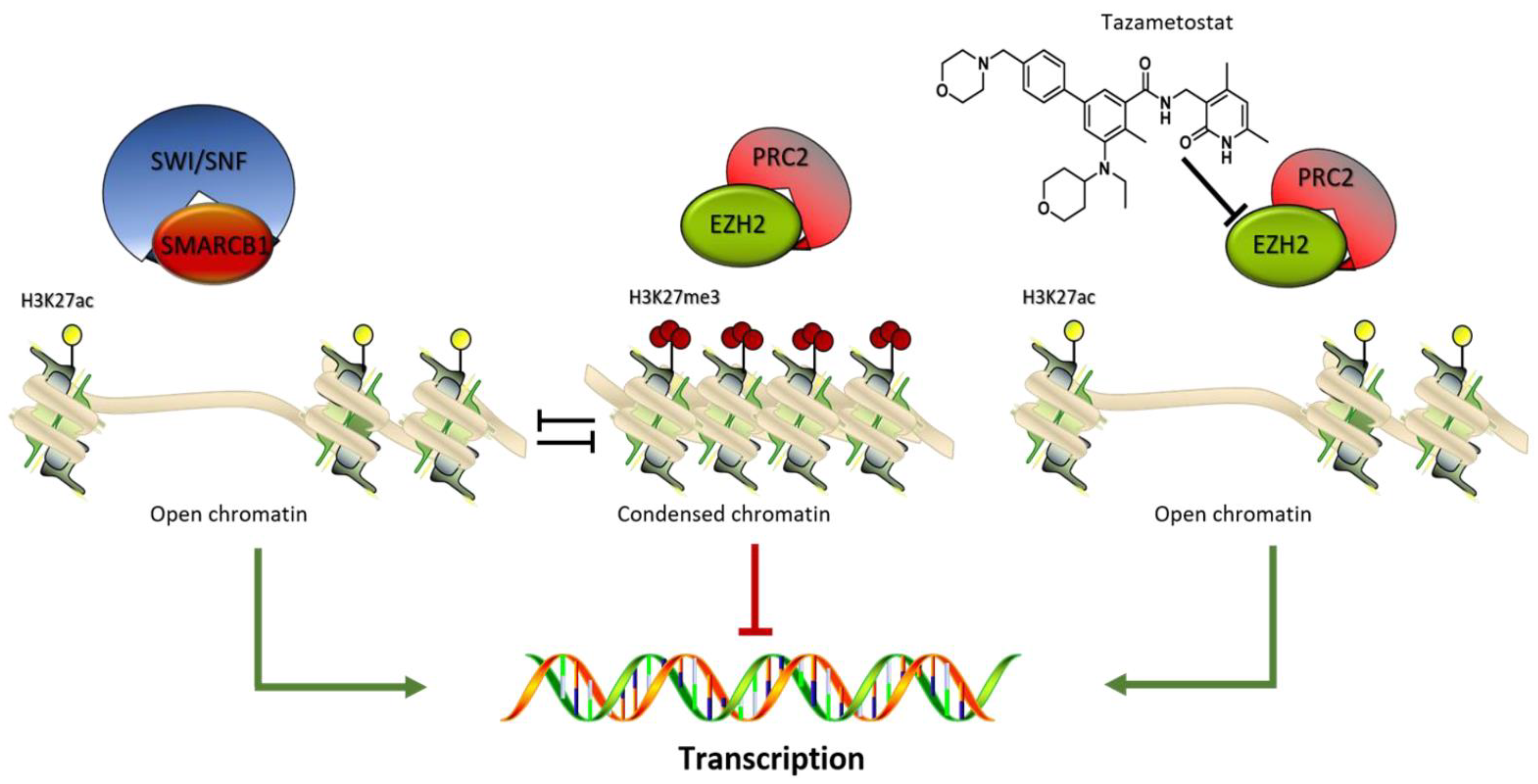 Cancers 13 02359 g003