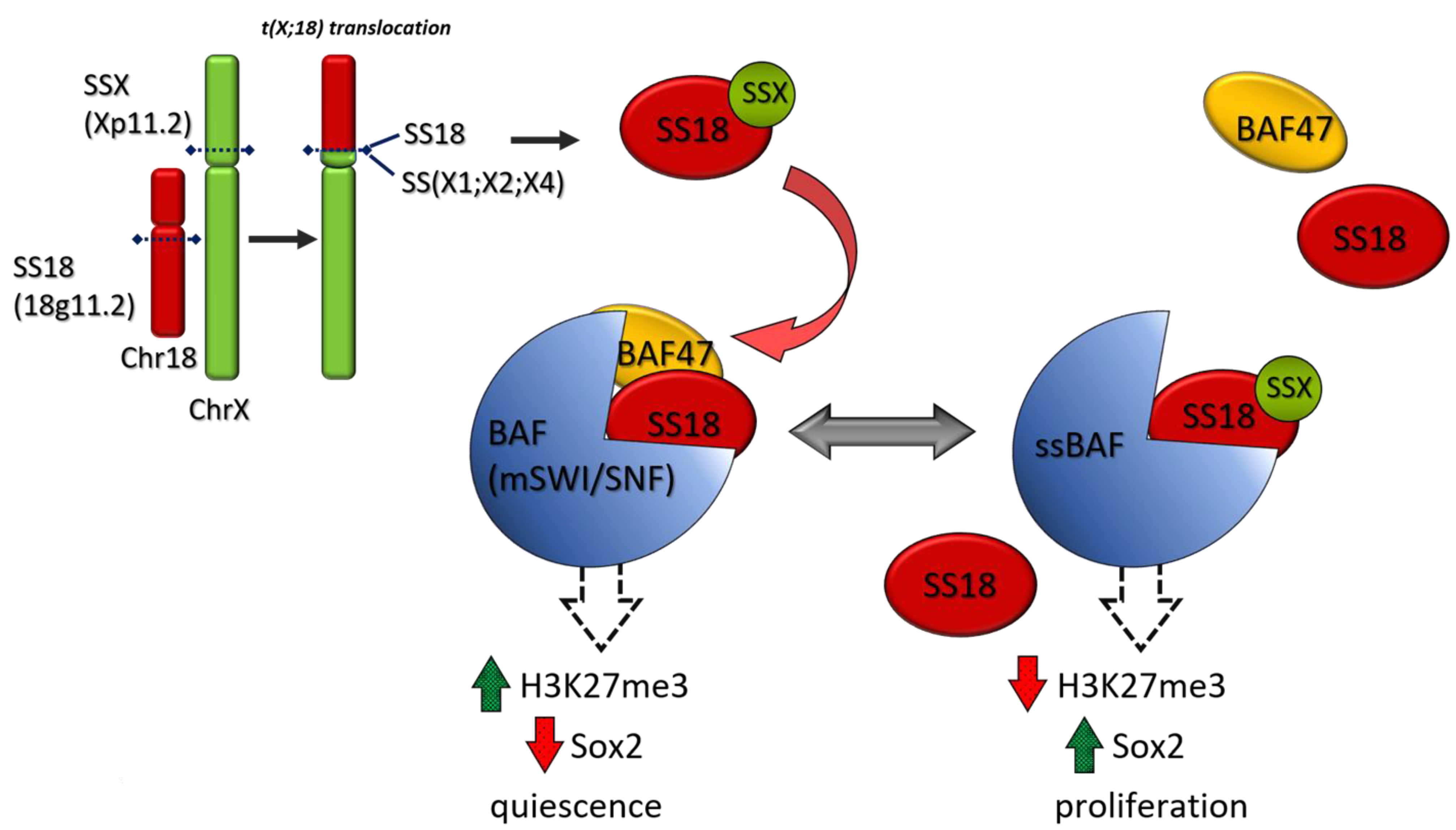 Cancers 13 02359 g004