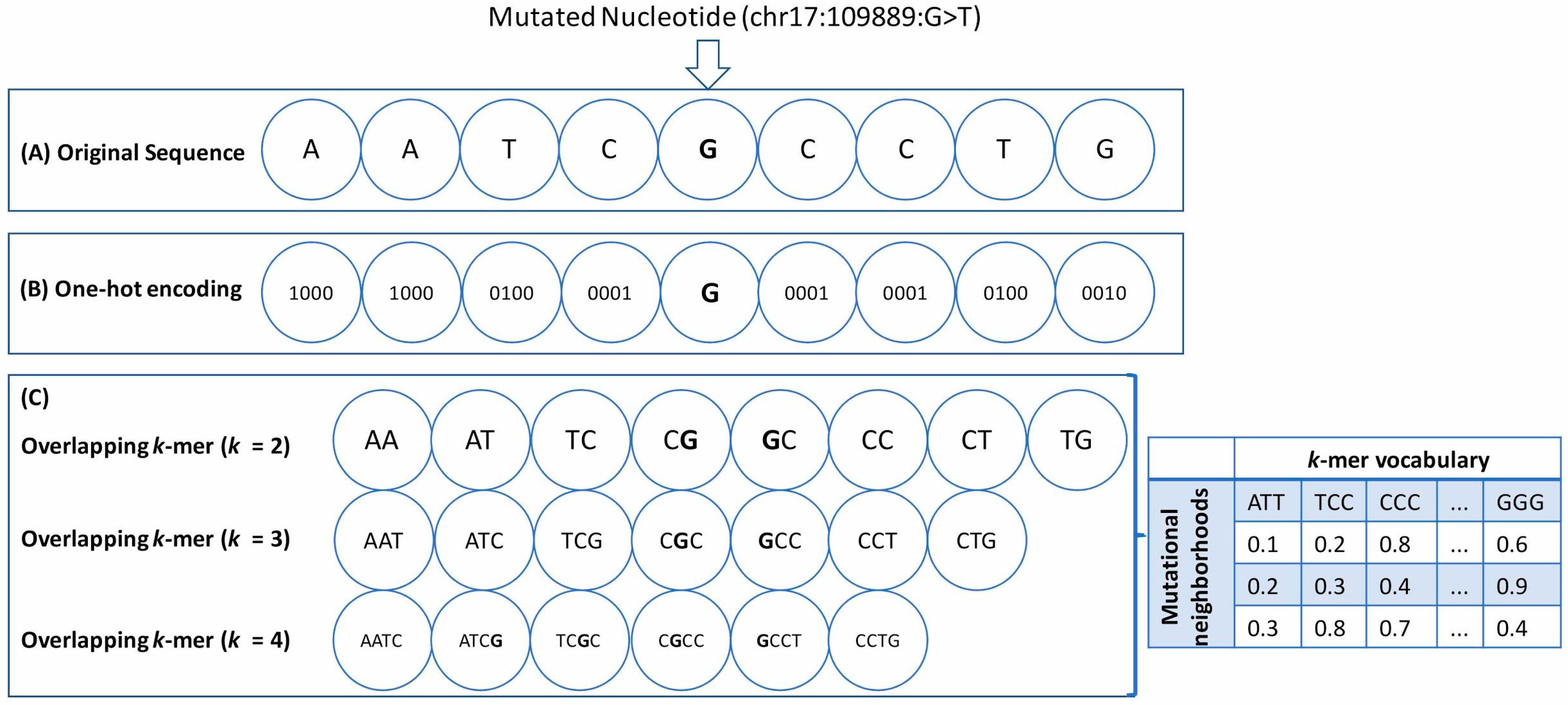 Cancers 13 02366 g001