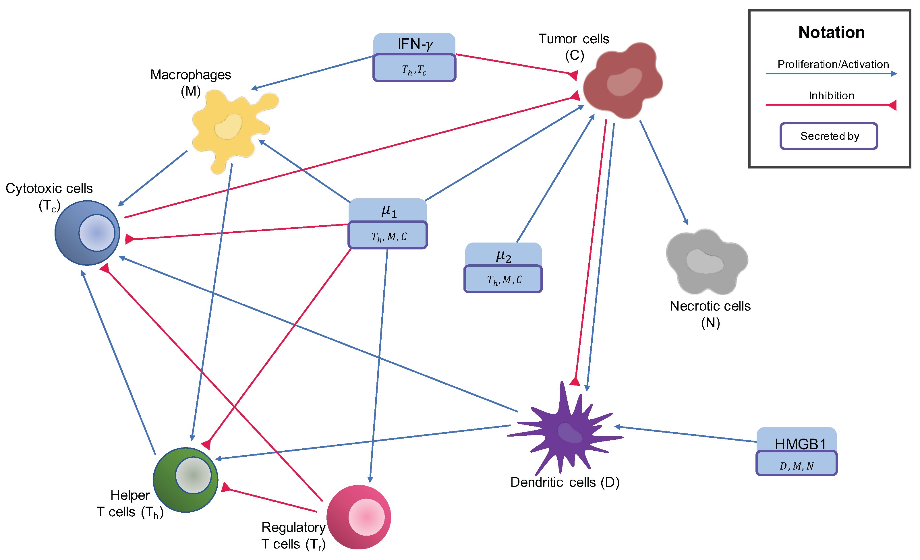 Cancers 13 02367 g001
