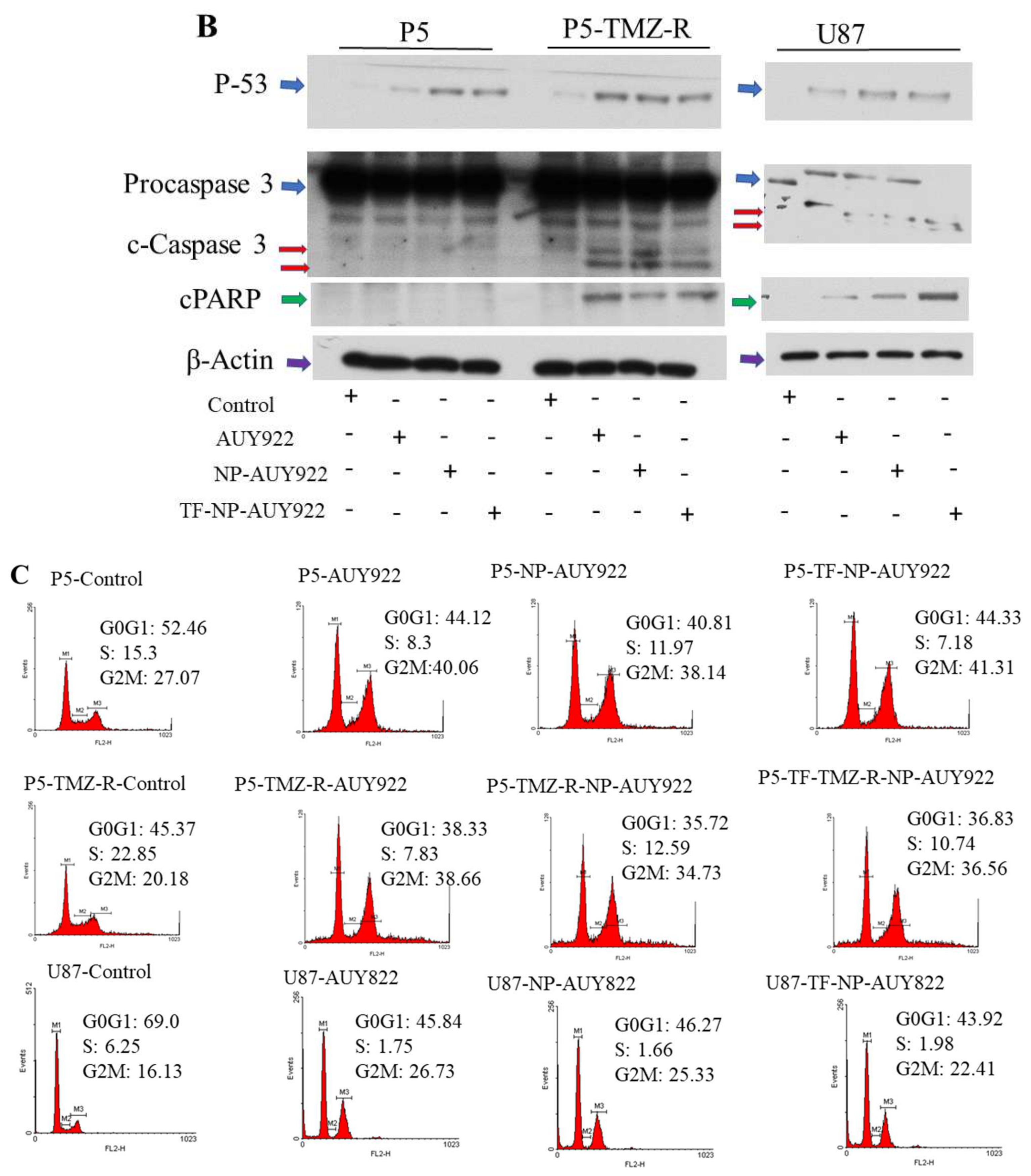 Cancers 13 02375 g005b