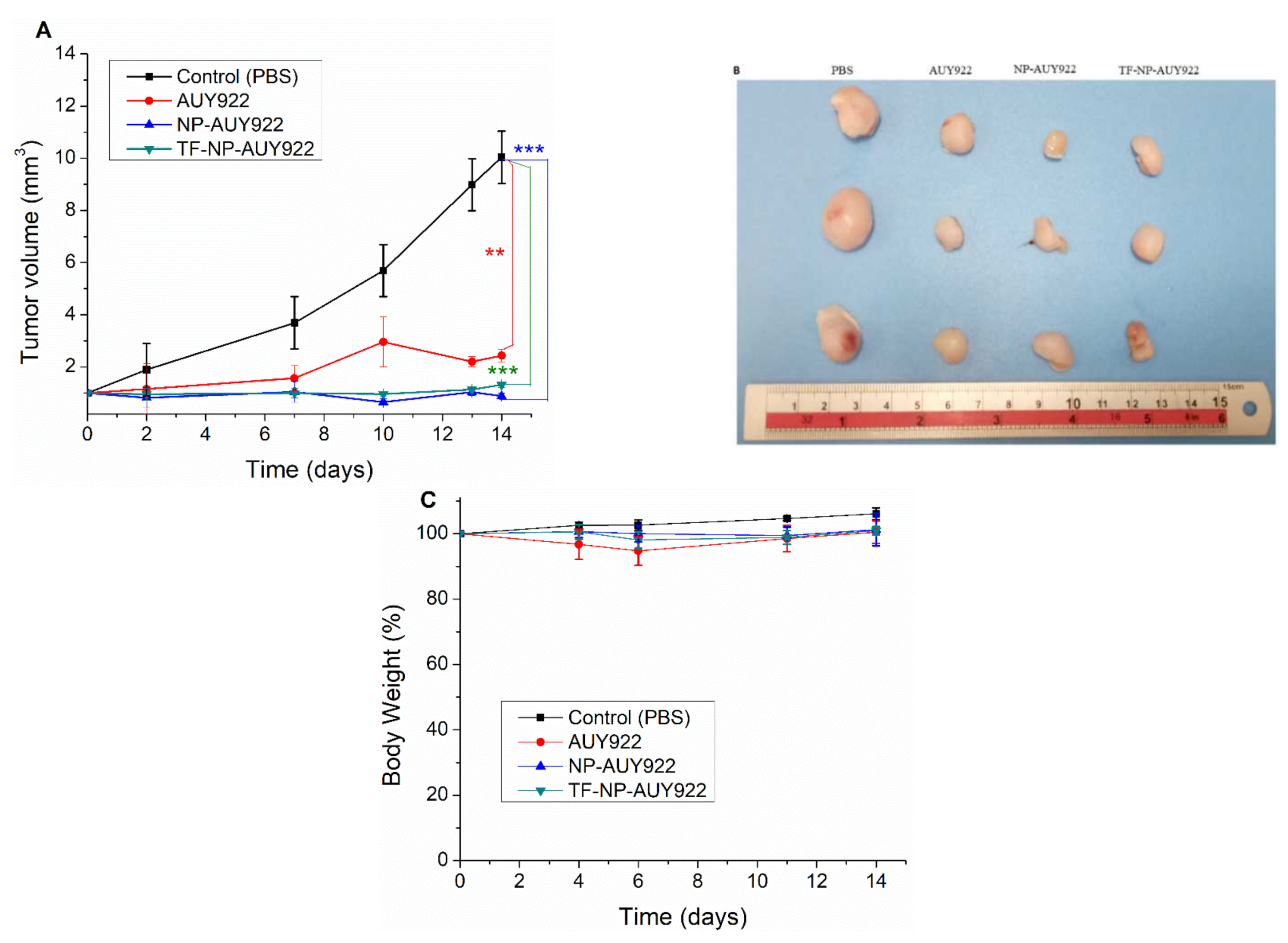 Cancers 13 02375 g009